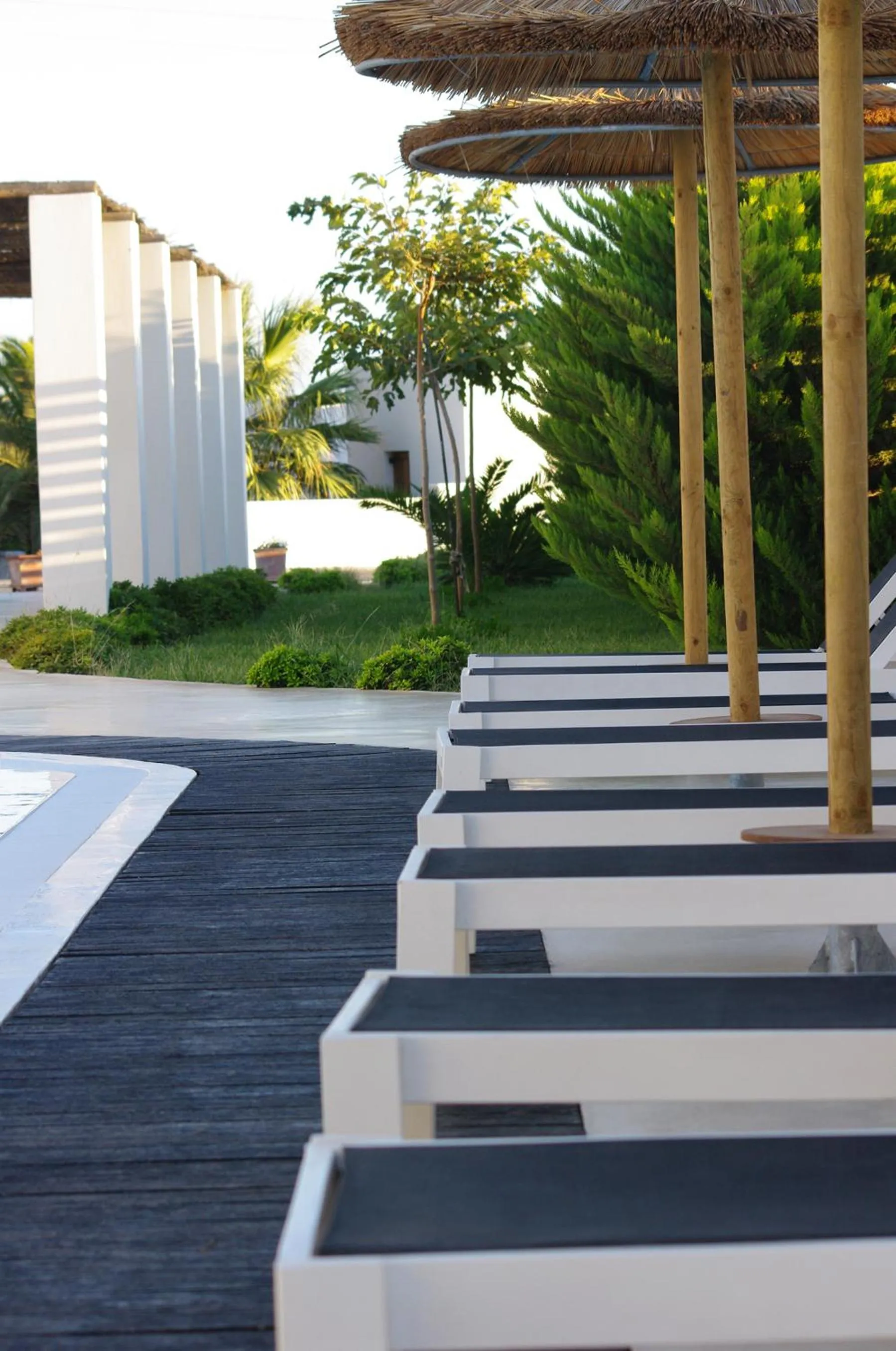 Garden in Villa Markezinis