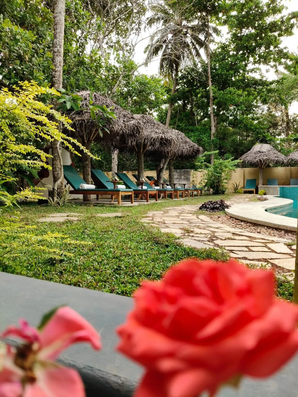 Day in Marari Beach Bungalow Resort Alleppey