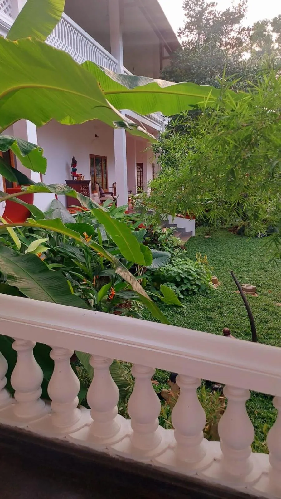 Garden in Marari Beach Bungalow Resort Alleppey