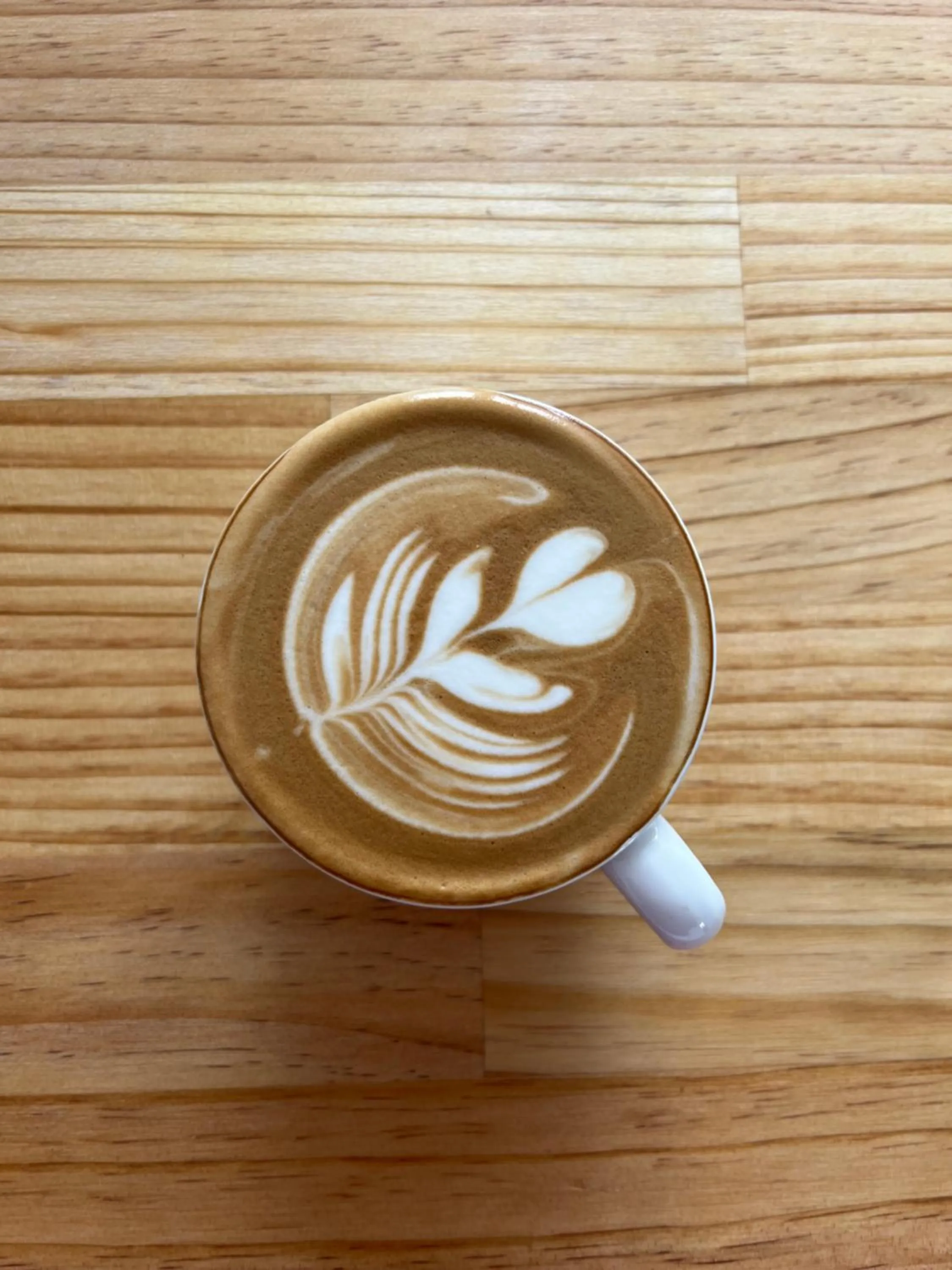 Coffee/tea facilities in Manha Hotel Auckland Airport