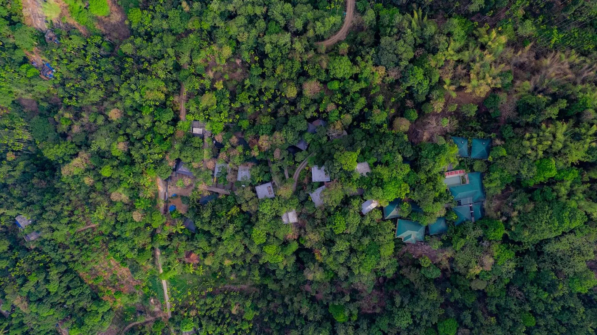 Bird's eye view in The Hive, Wayanad