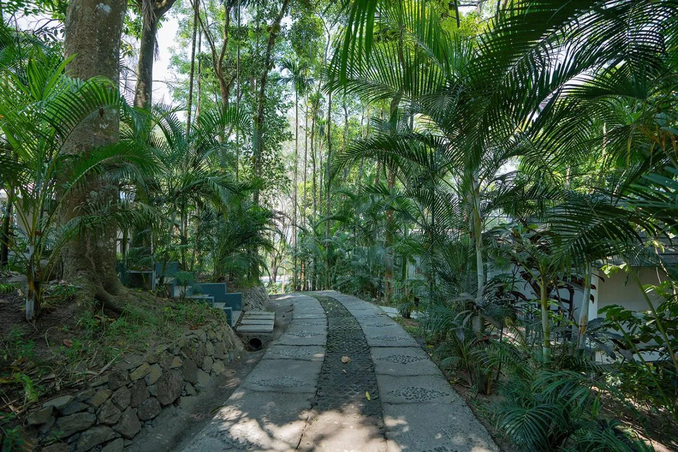 Garden in The Hive, Wayanad