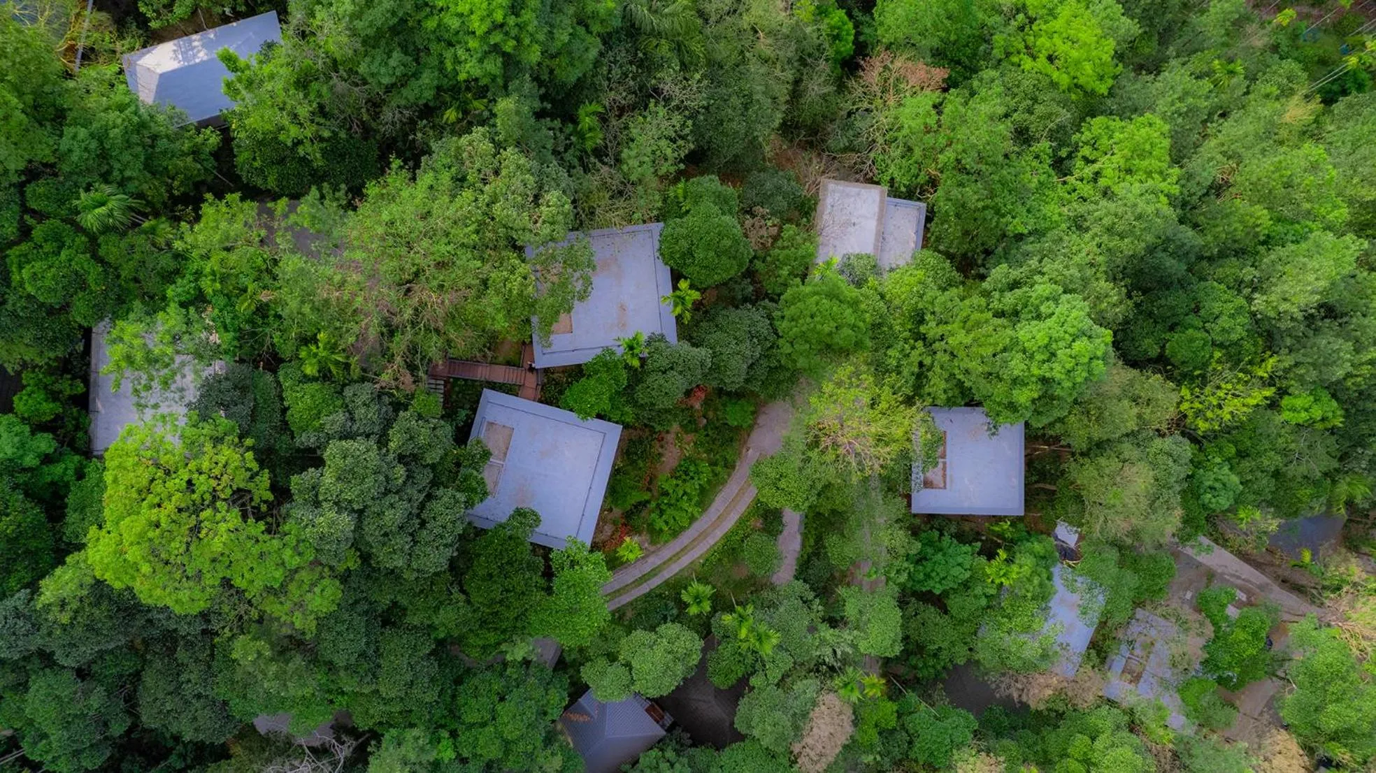 View (from property/room) in The Hive, Wayanad