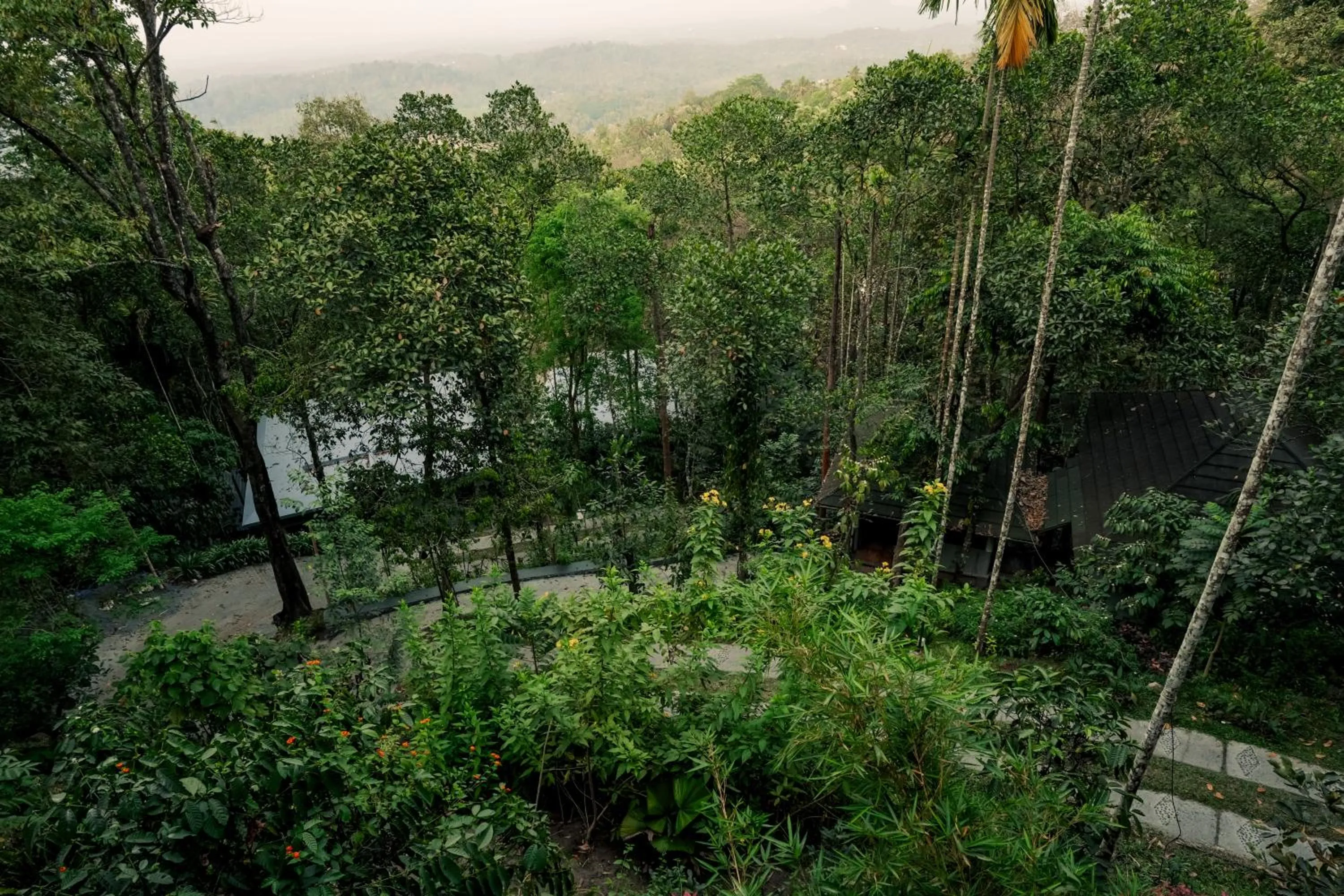 View (from property/room) in The Hive, Wayanad