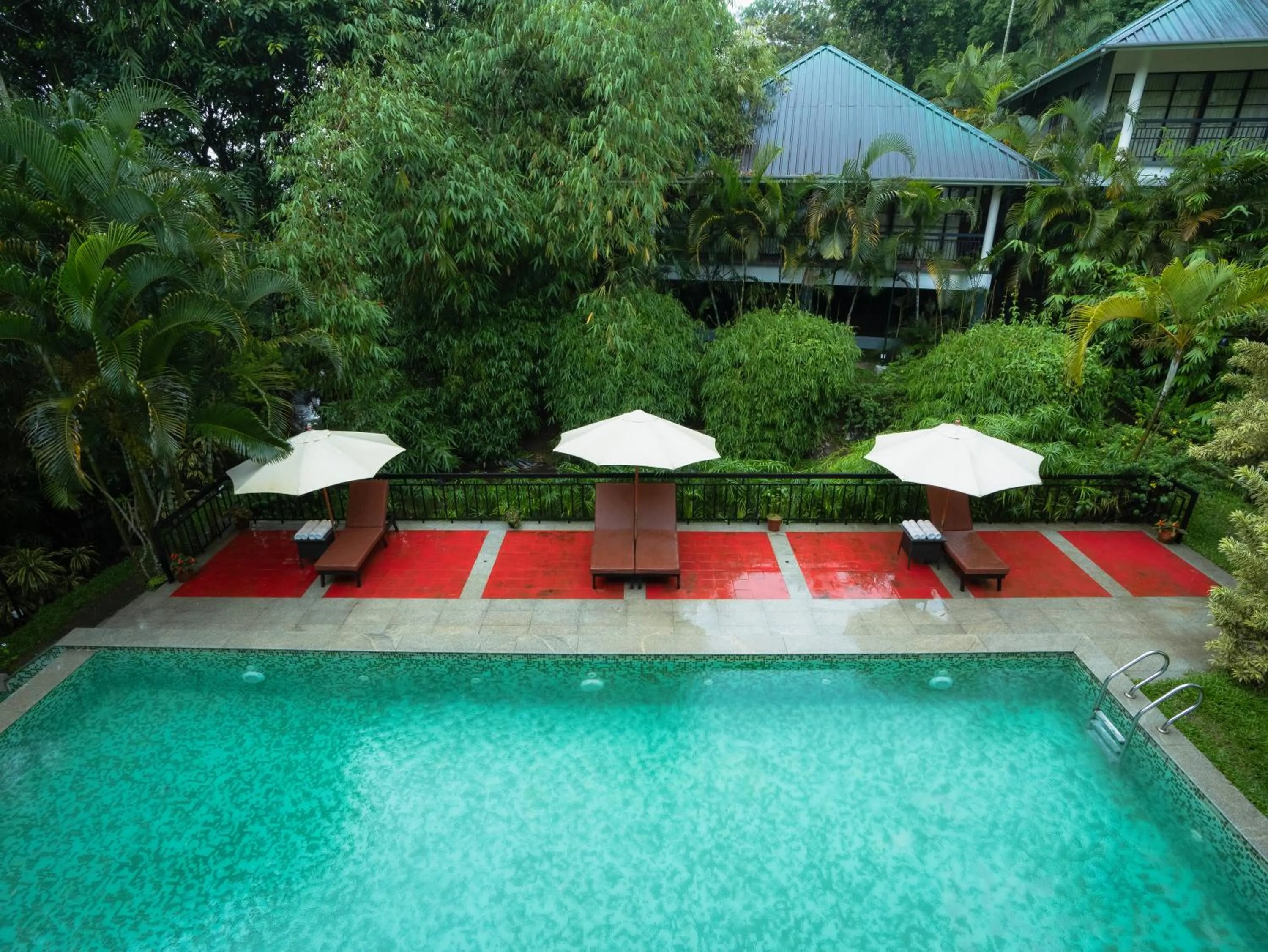 Swimming pool in The Hive, Wayanad