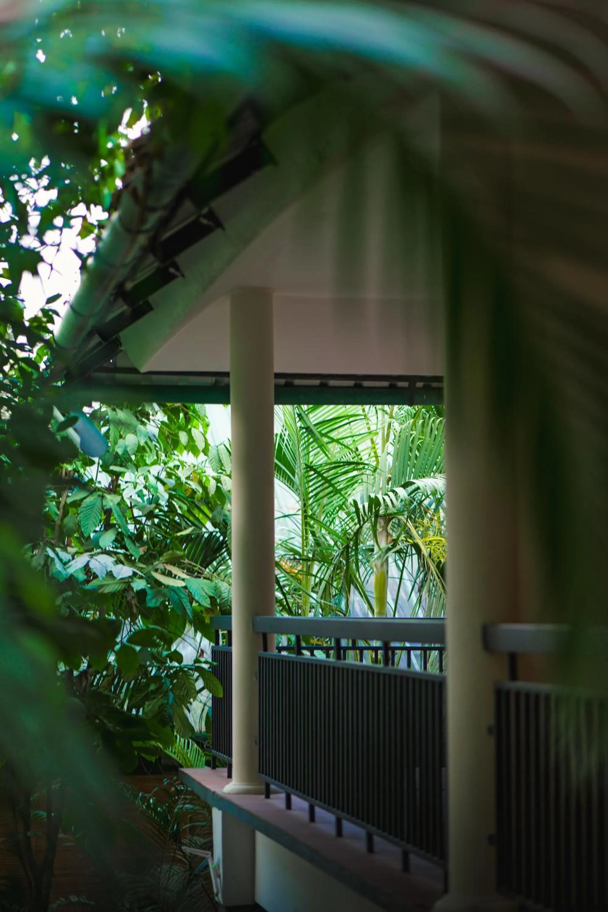 Balcony/Terrace in The Hive, Wayanad