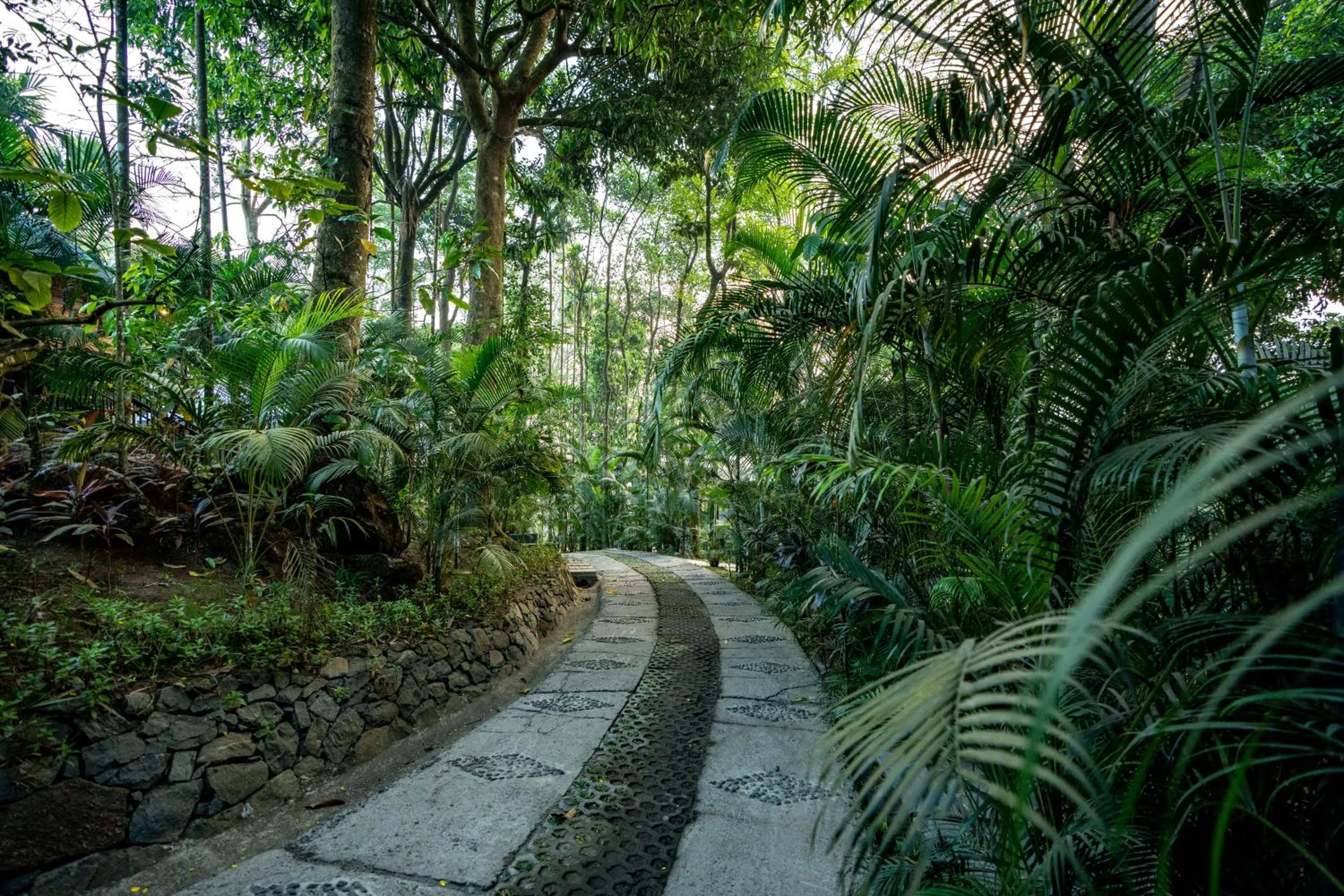 Property building in The Hive, Wayanad