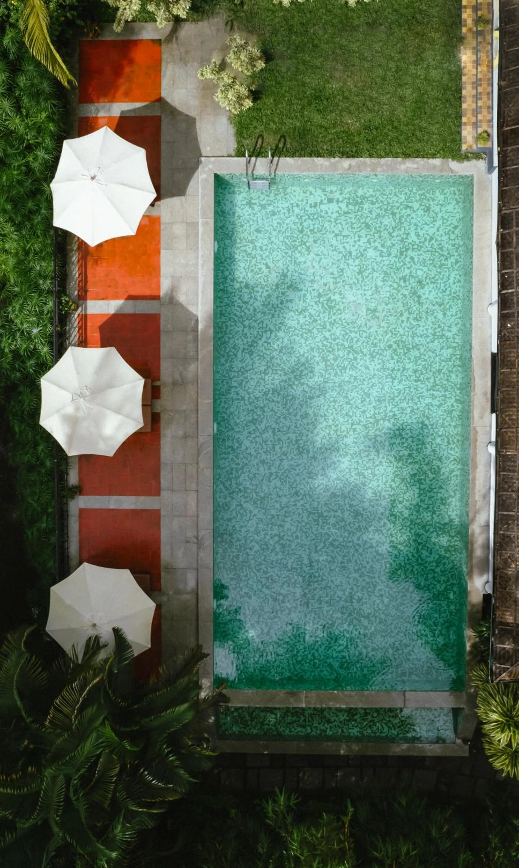 Swimming pool in The Hive, Wayanad