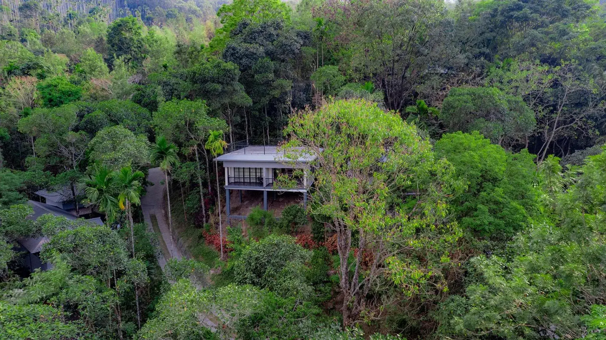 View (from property/room) in The Hive, Wayanad View (from property/room) in The Hive, Wayanad
