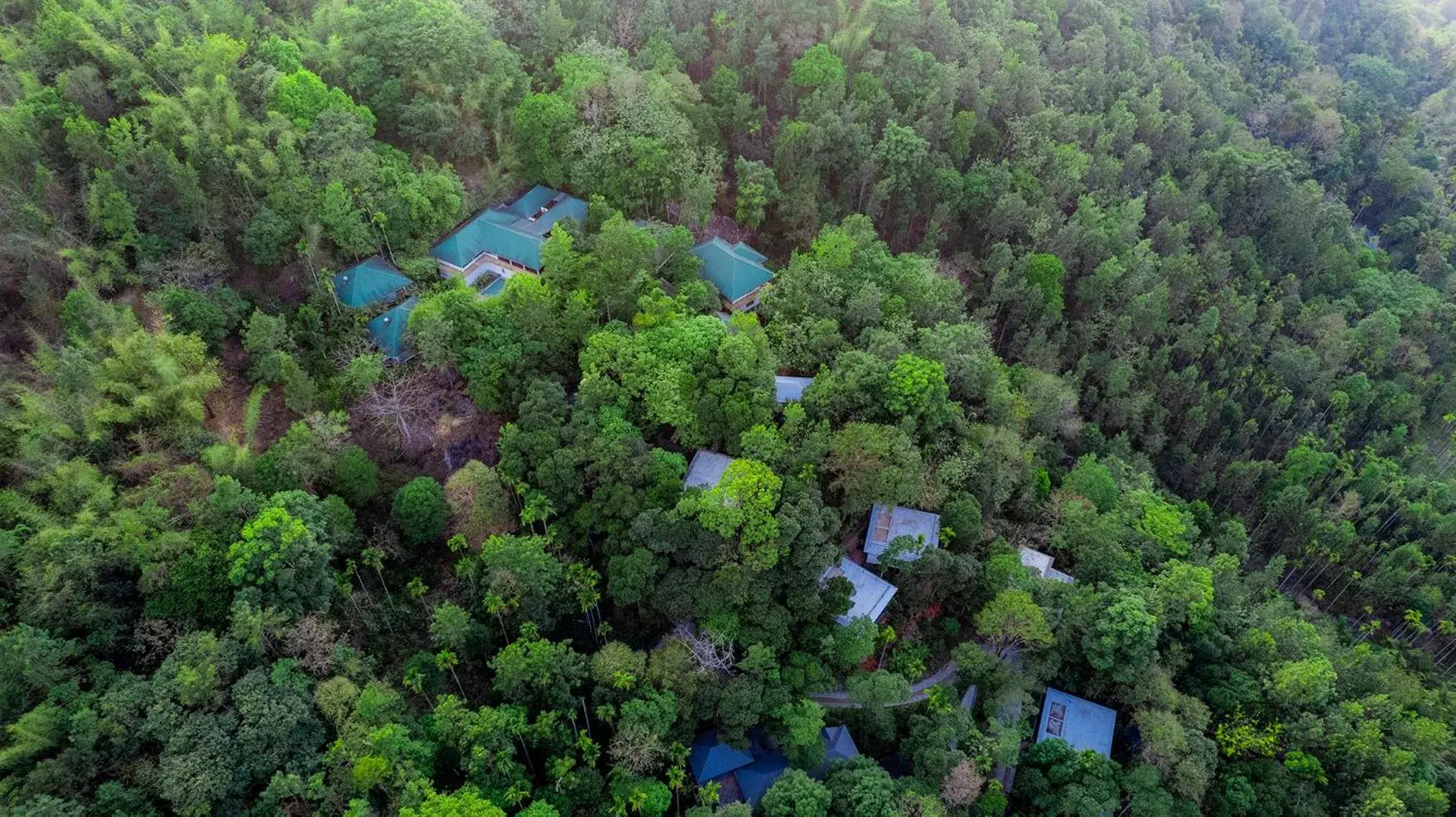 Bird's eye view in The Hive, Wayanad Bird's eye view in The Hive, Wayanad