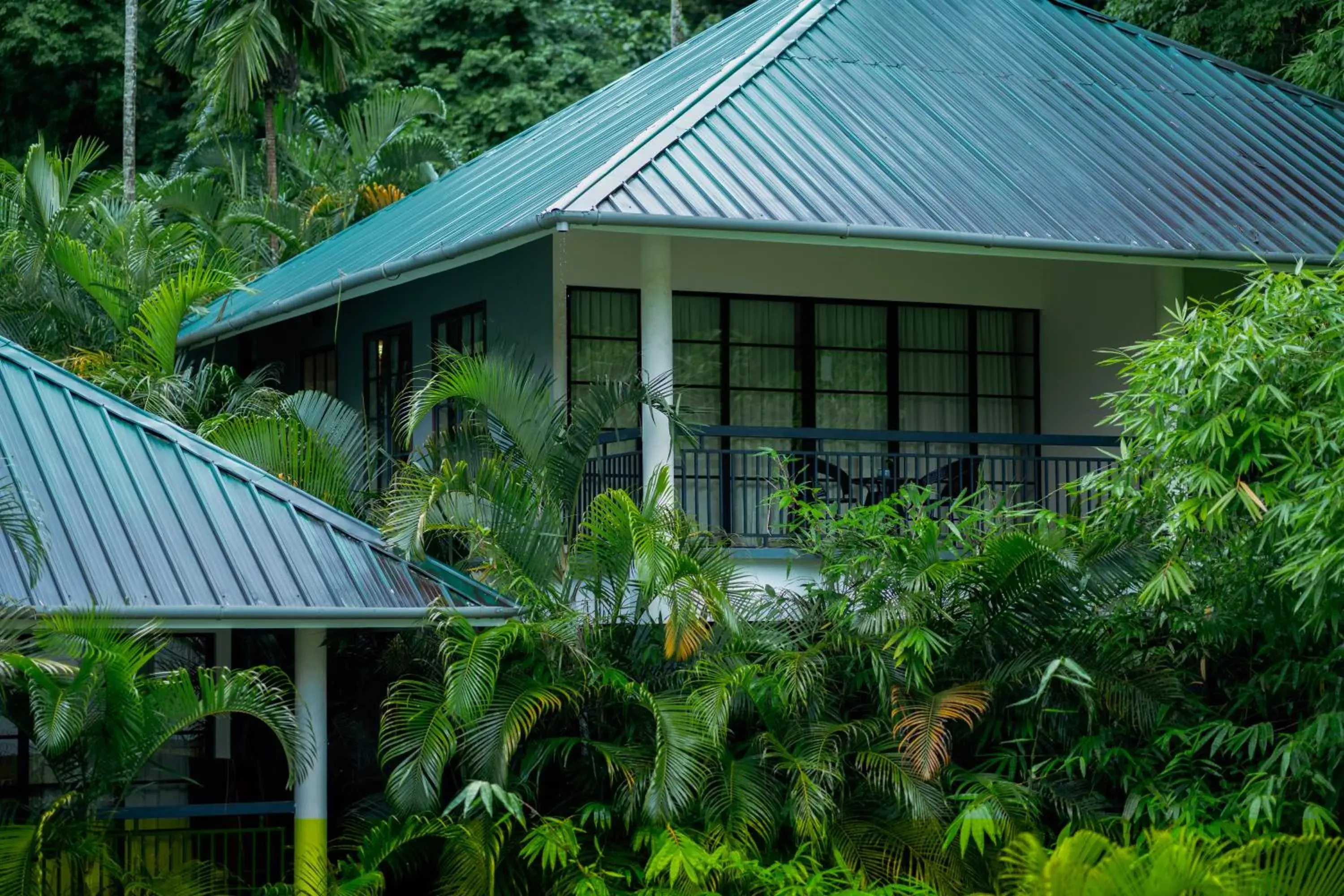 Property building in The Hive, Wayanad Property building in The Hive, Wayanad