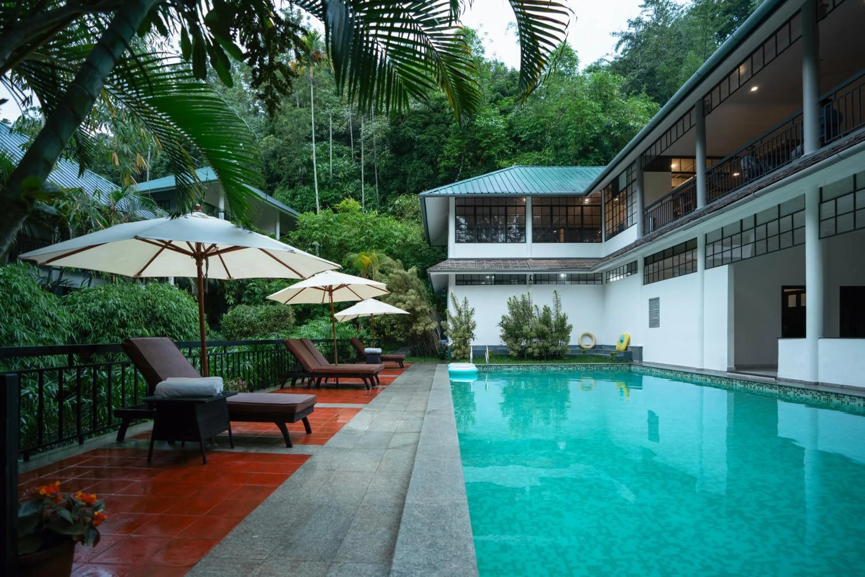 Swimming pool in The Hive, Wayanad