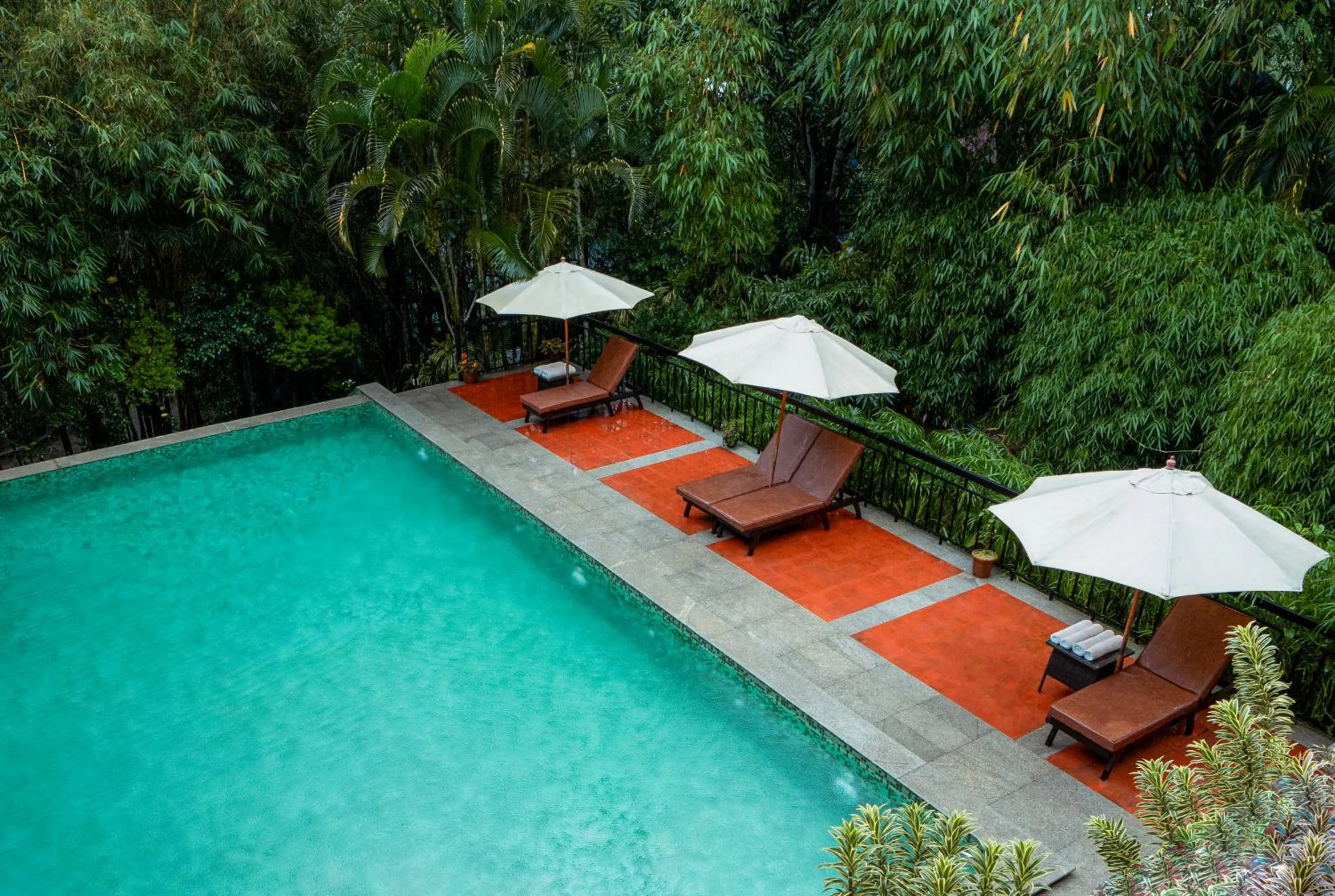 Swimming pool in The Hive, Wayanad