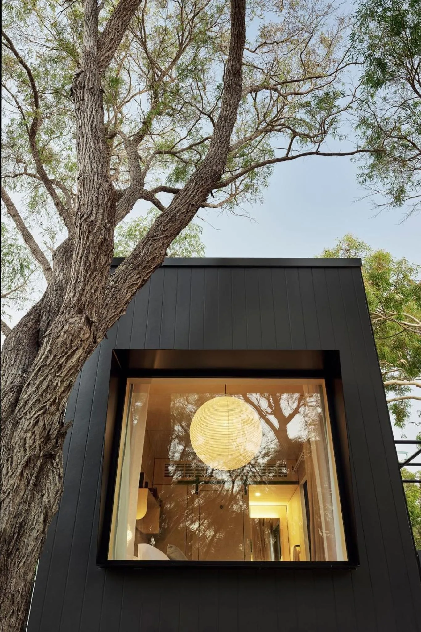 View (from property/room) in Southcamp