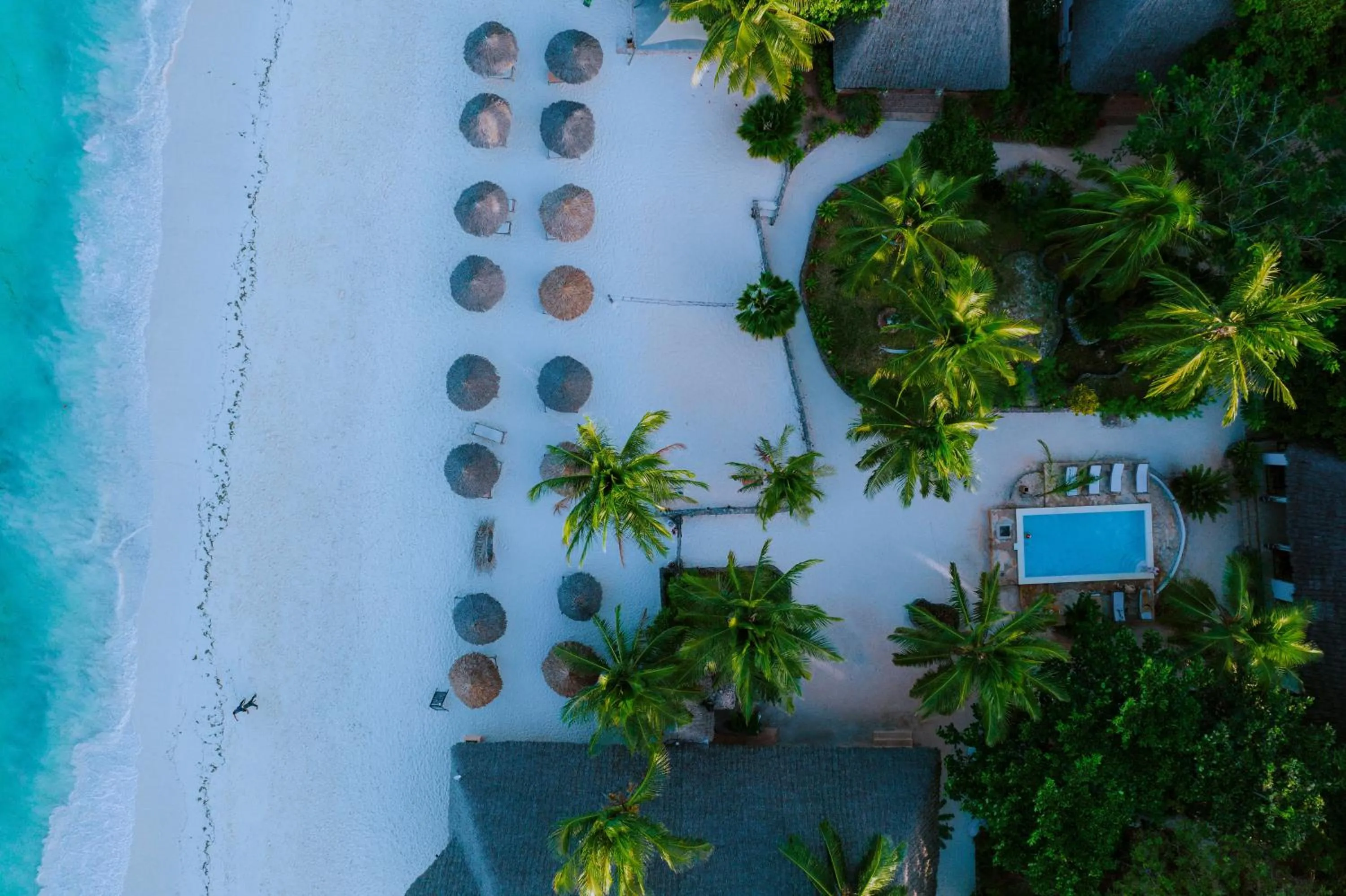 Beach in Mambo Ocean Resort