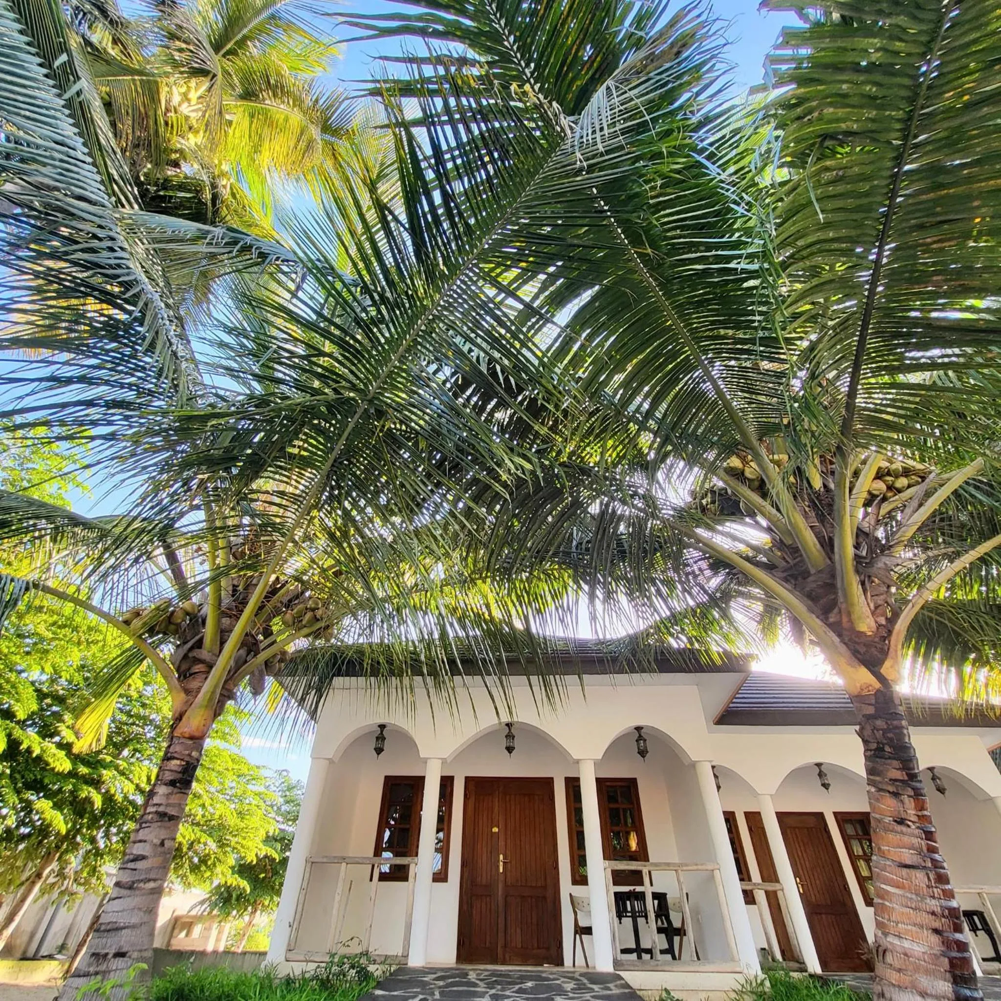 Property building in Mambo Ocean Resort