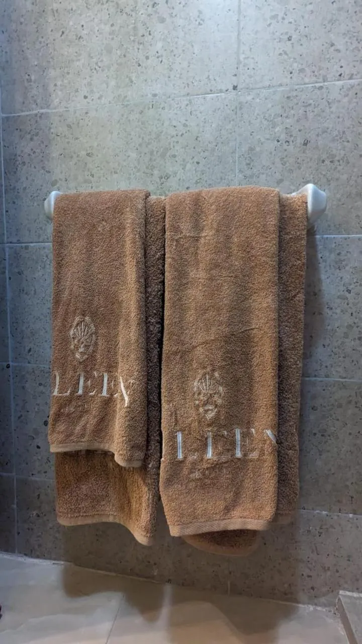 towels in Eileen Hotel Cairo