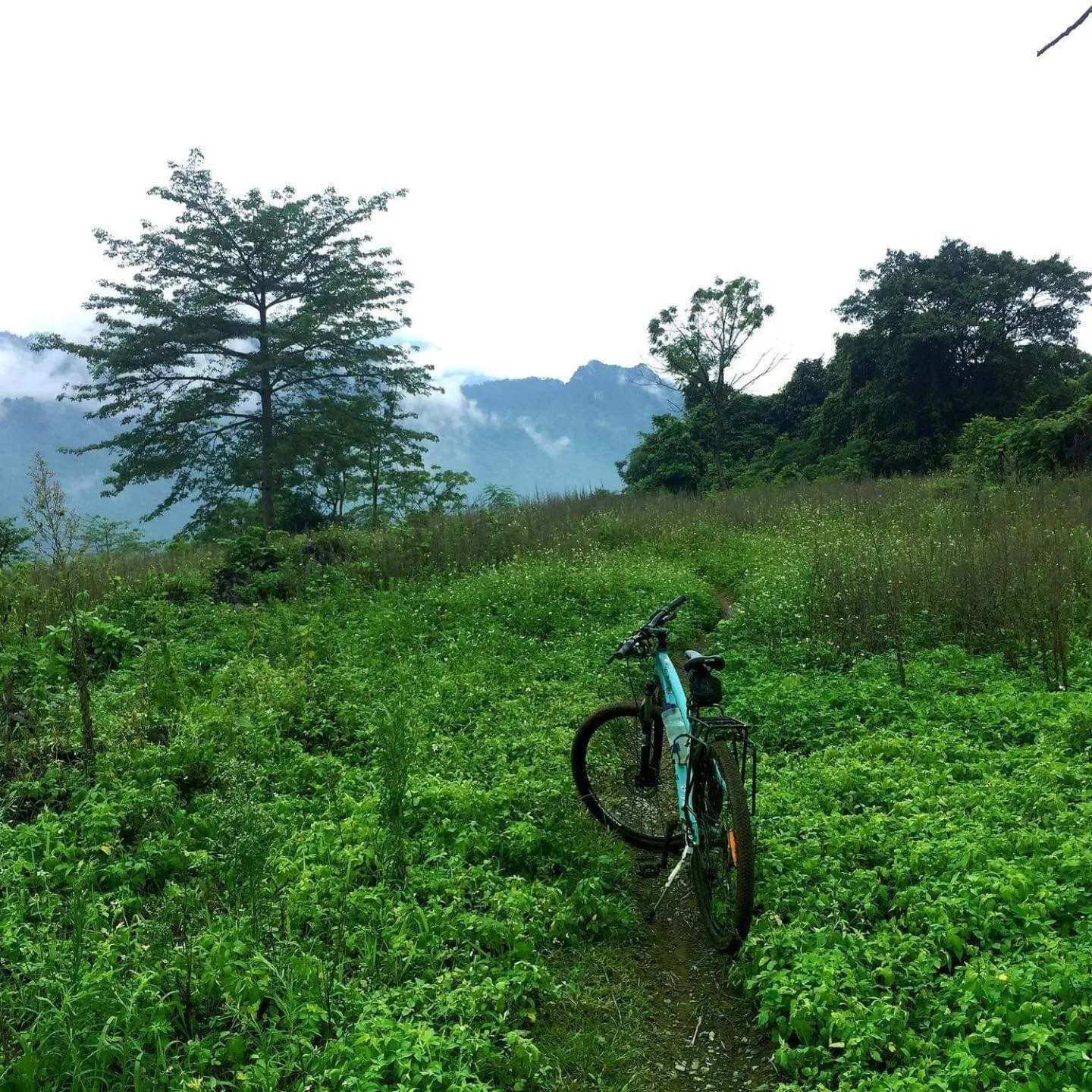 Cycling in Frontier Hostel & Tours