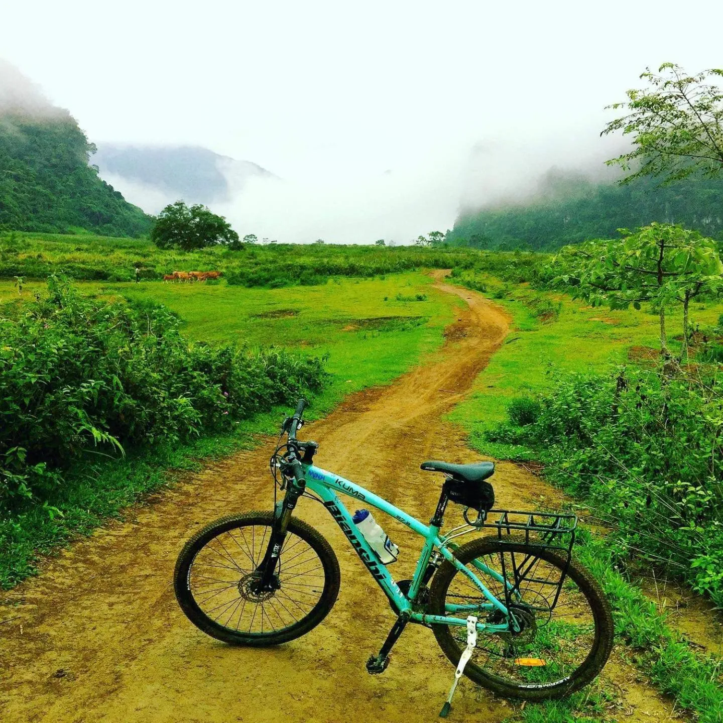 Cycling in Frontier Hostel & Tours