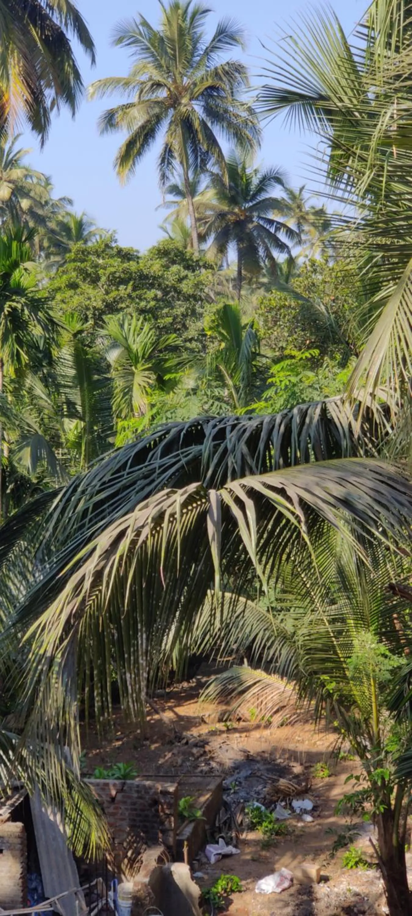 View (from property/room) in Shree Swami Samarth Resort