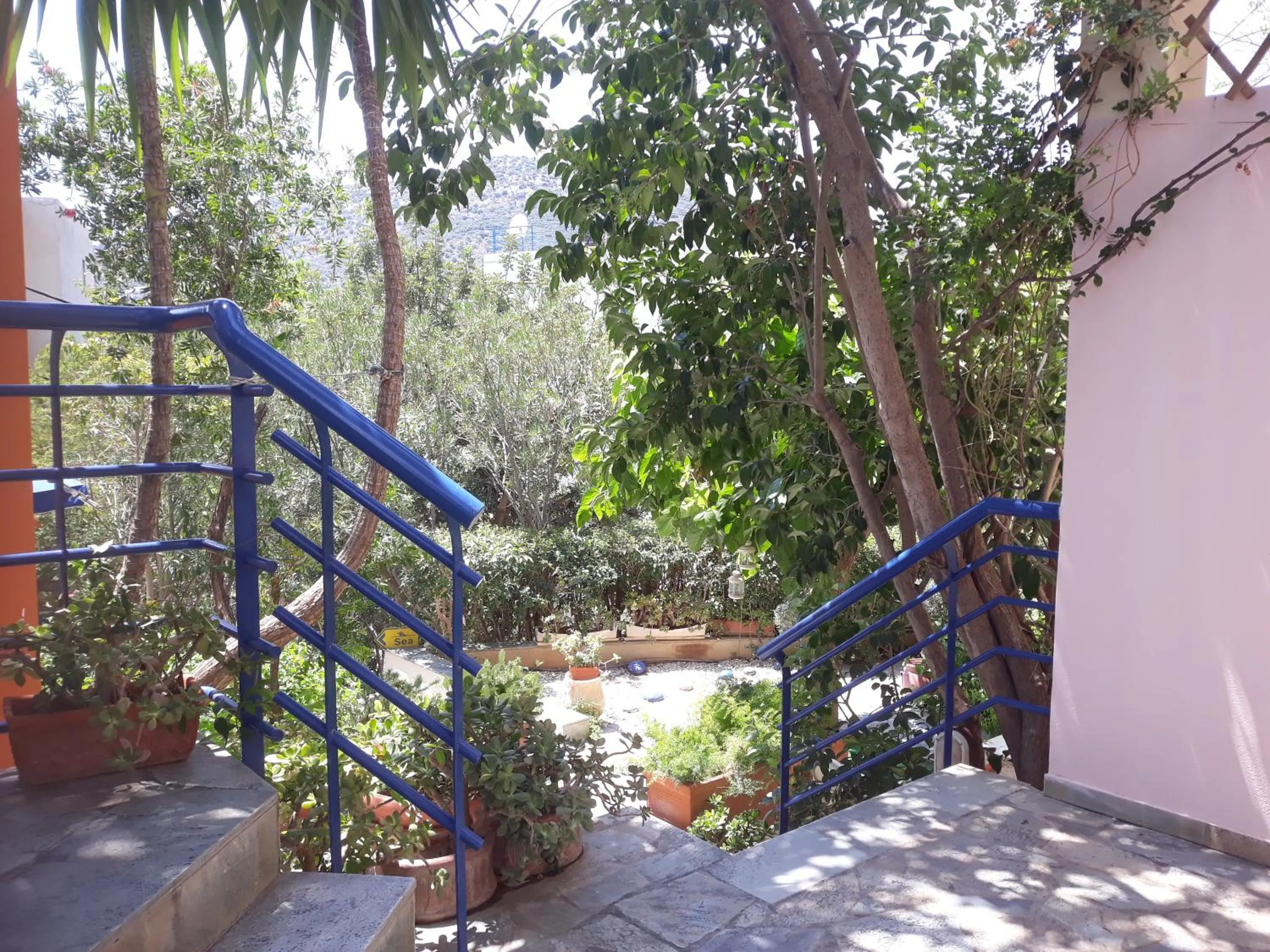 Garden in Heliotopos Apartments