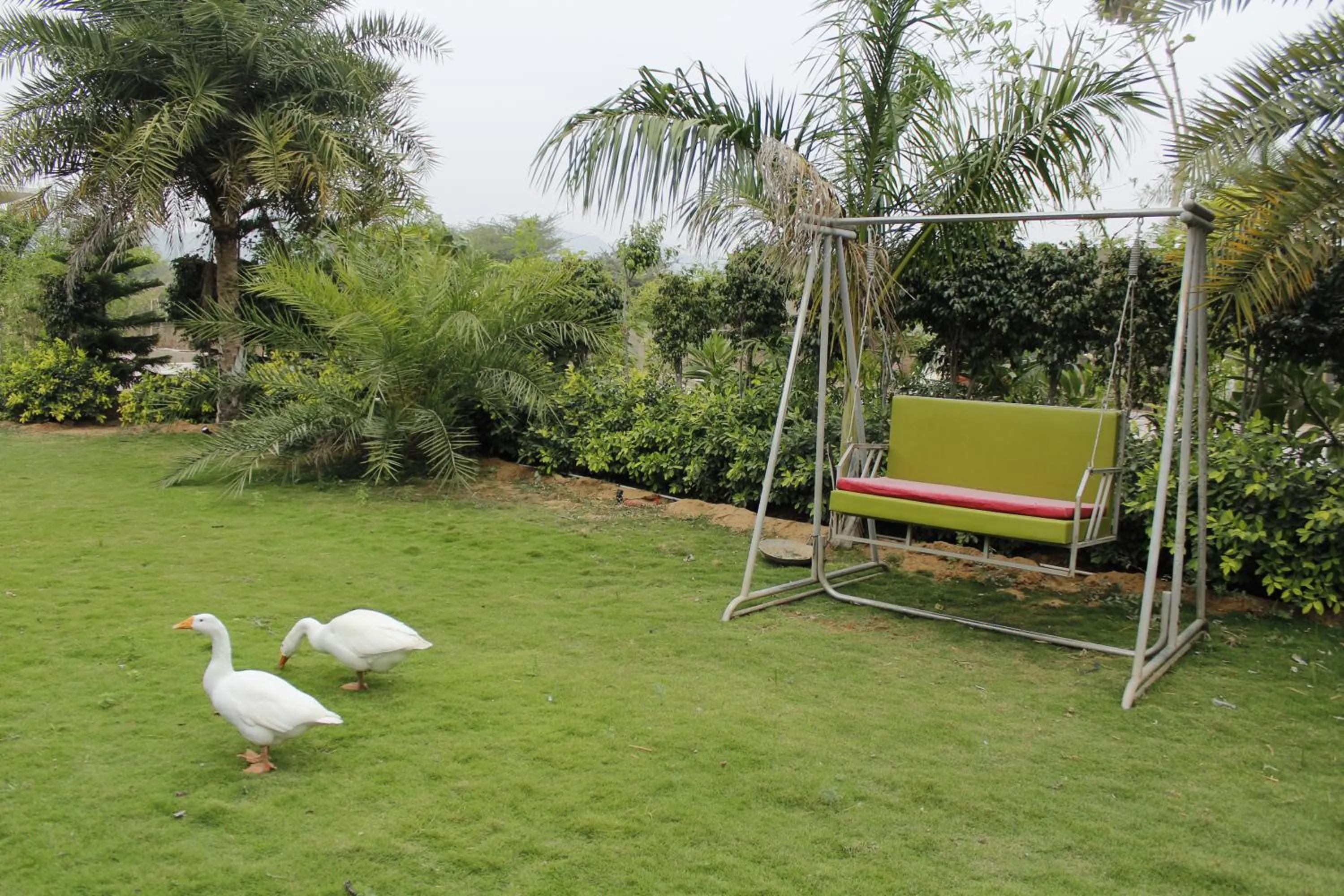 Farm Aavjo - A Conscious Stay