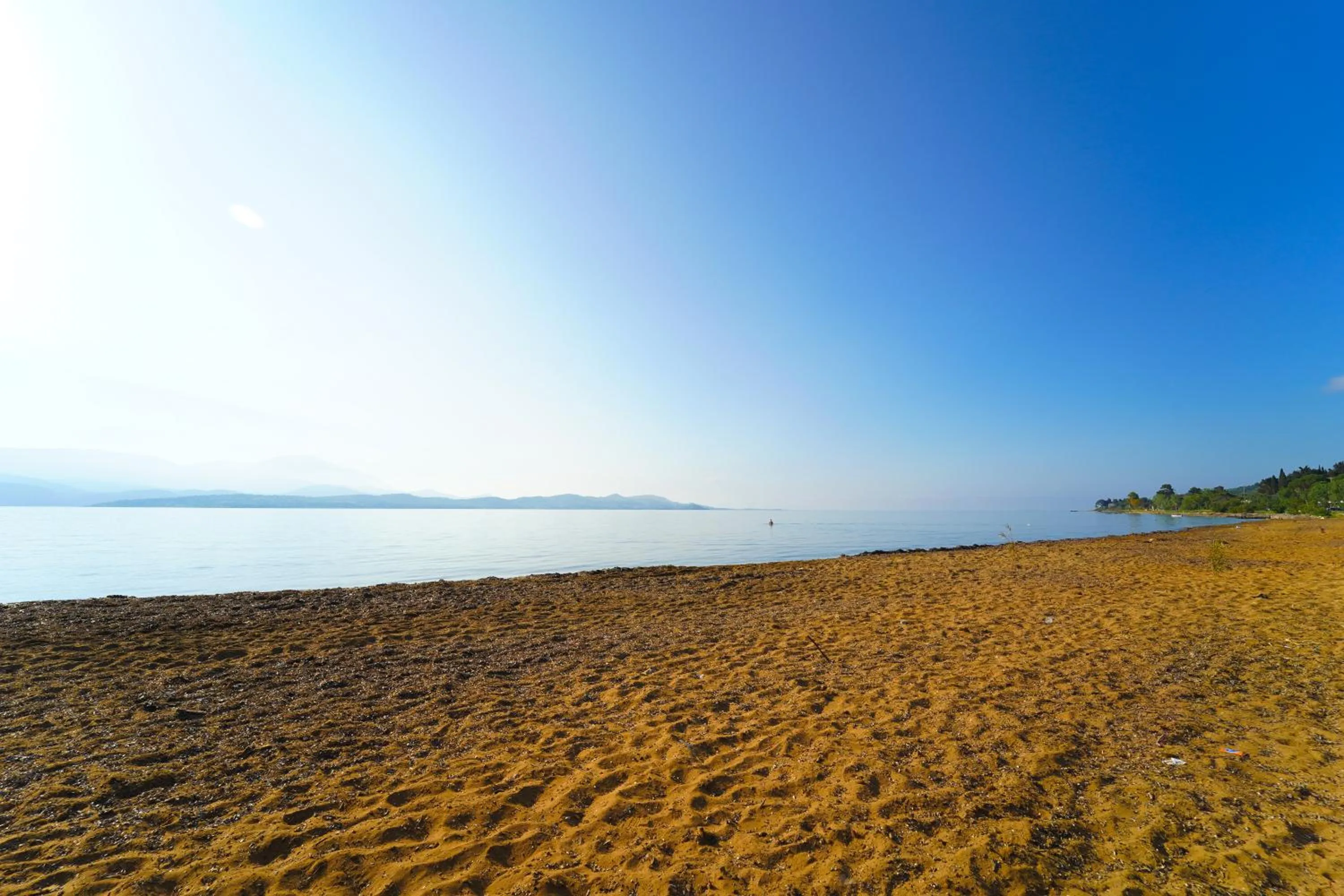 Summer in Hotel Summery