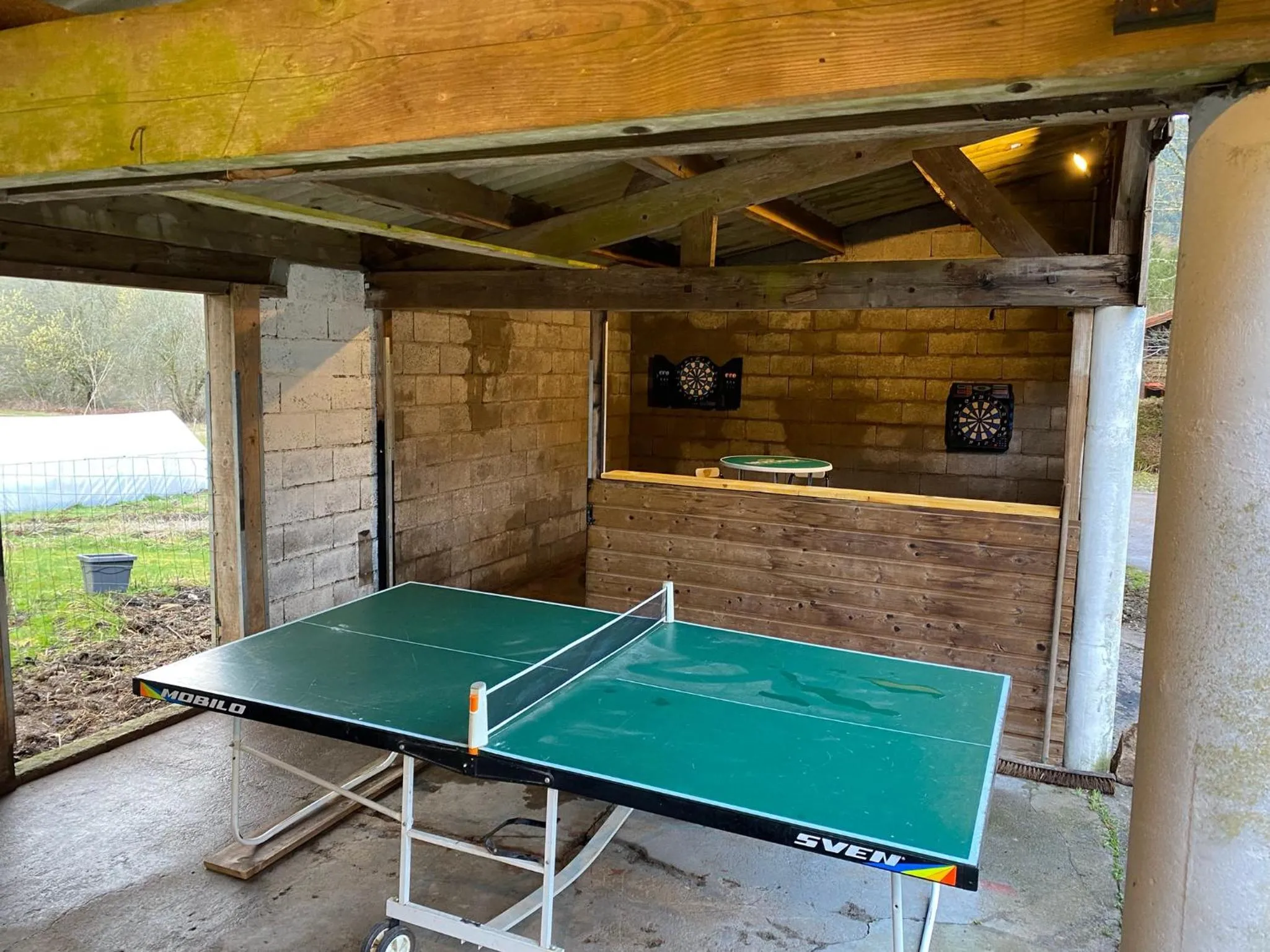 Table tennis in Chalet les Bleuets 12p - babyfoot & Wii