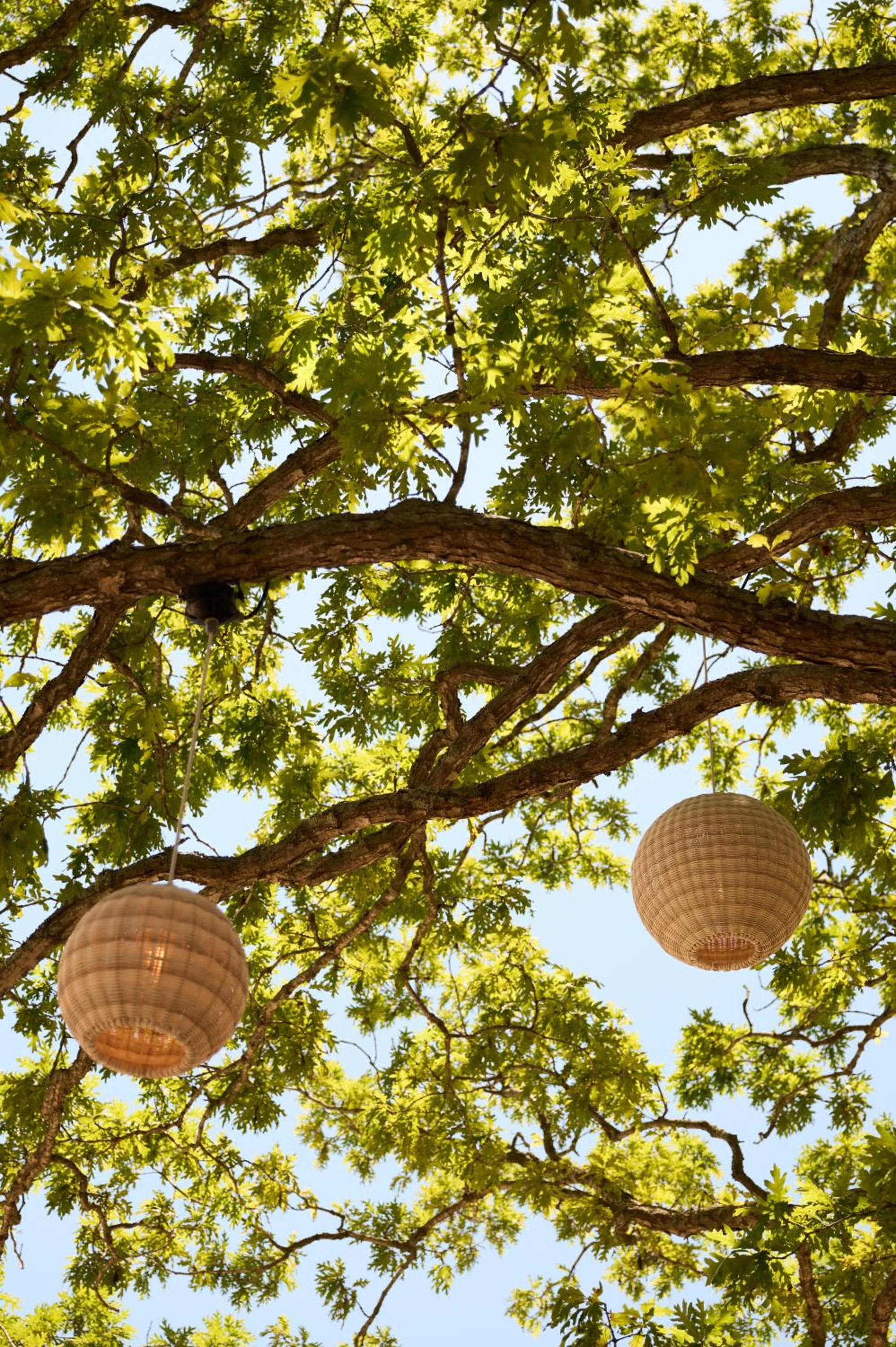 Restaurant/places to eat in Silver Sands Motel & Beach Bungalows