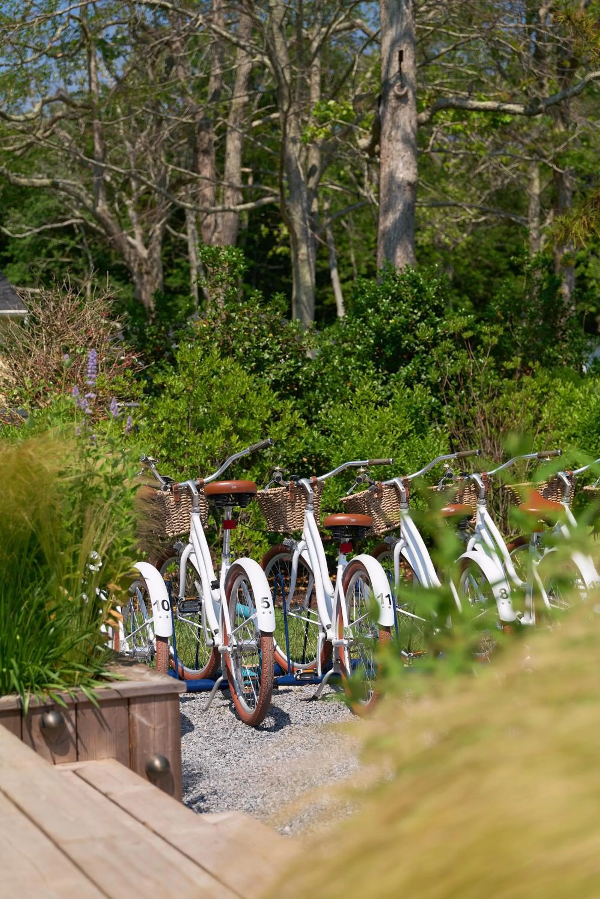 Activities in Silver Sands Motel & Beach Bungalows