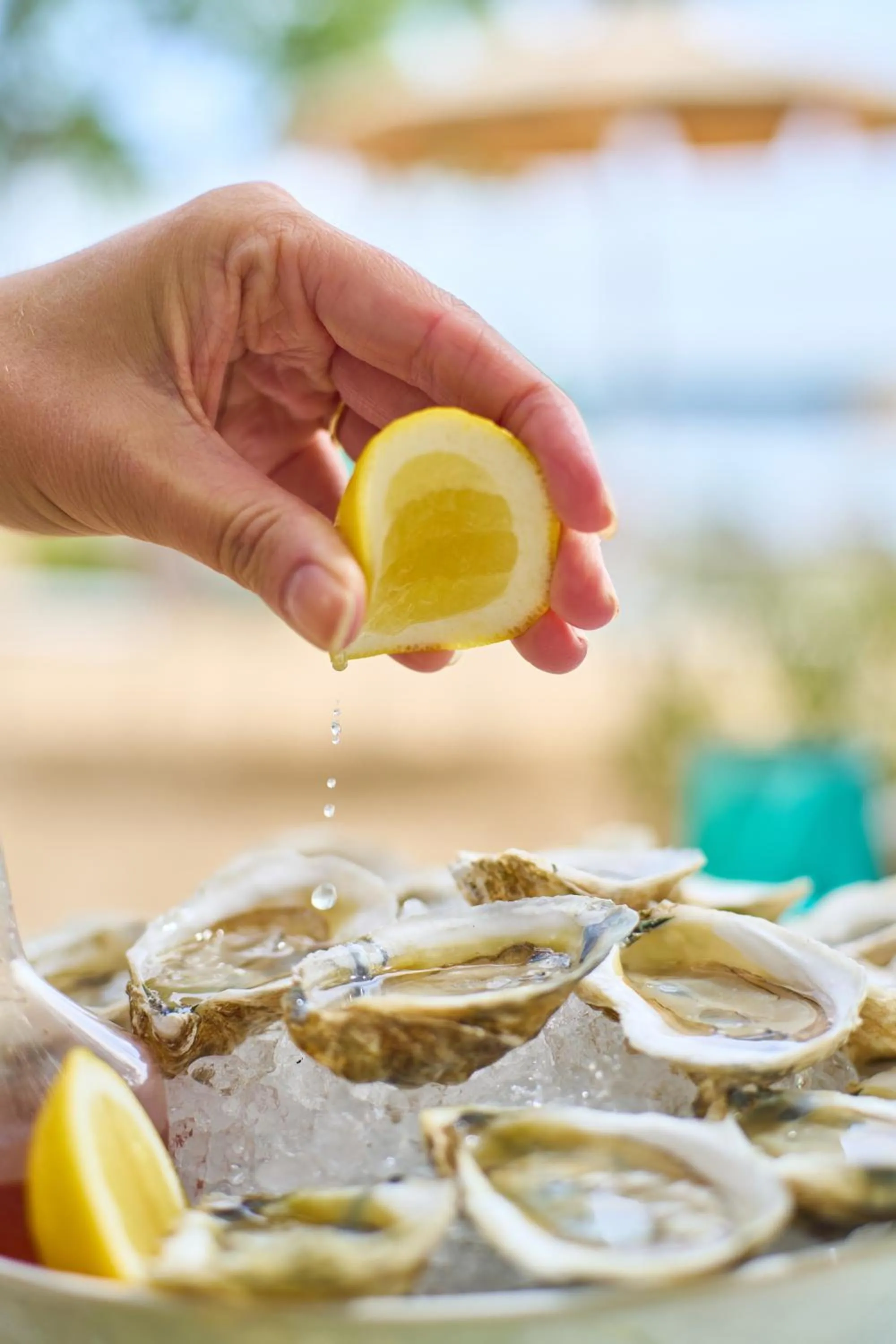 Restaurant/places to eat in Silver Sands Motel & Beach Bungalows