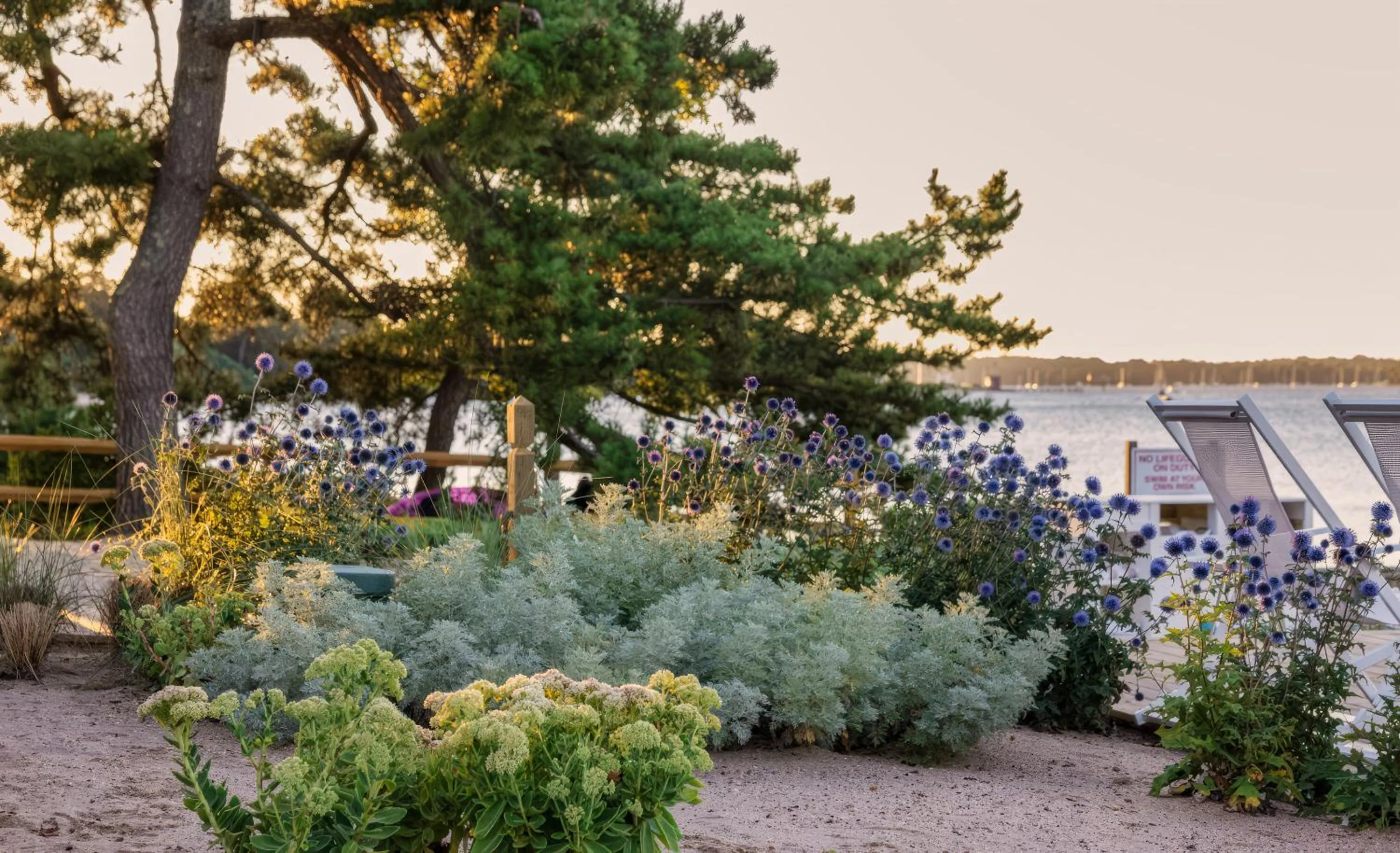 Natural landscape in Silver Sands Motel & Beach Bungalows