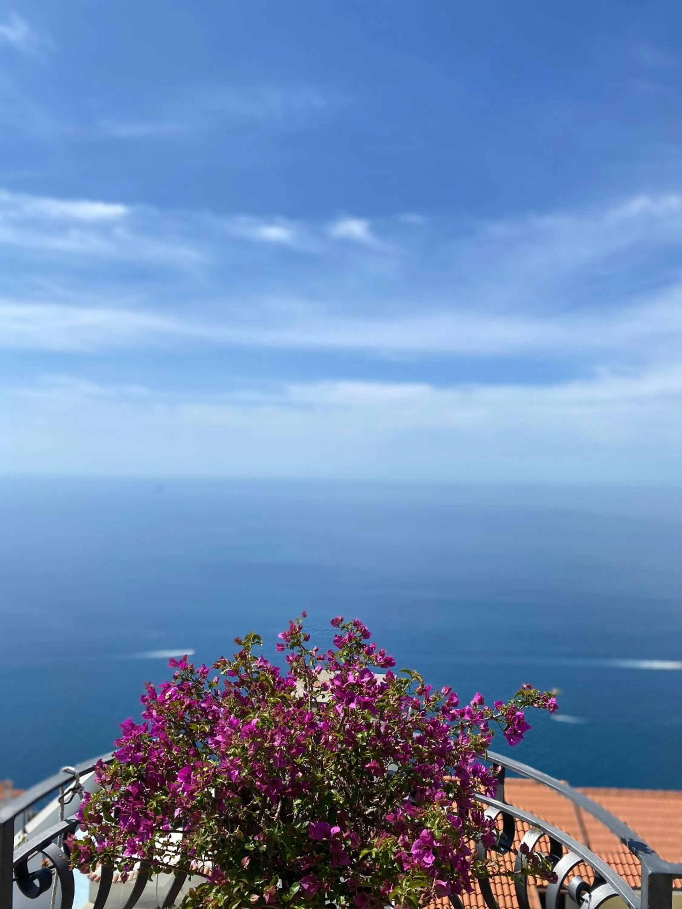 Restaurant/places to eat in Albergo Dipinto BaccoFurore