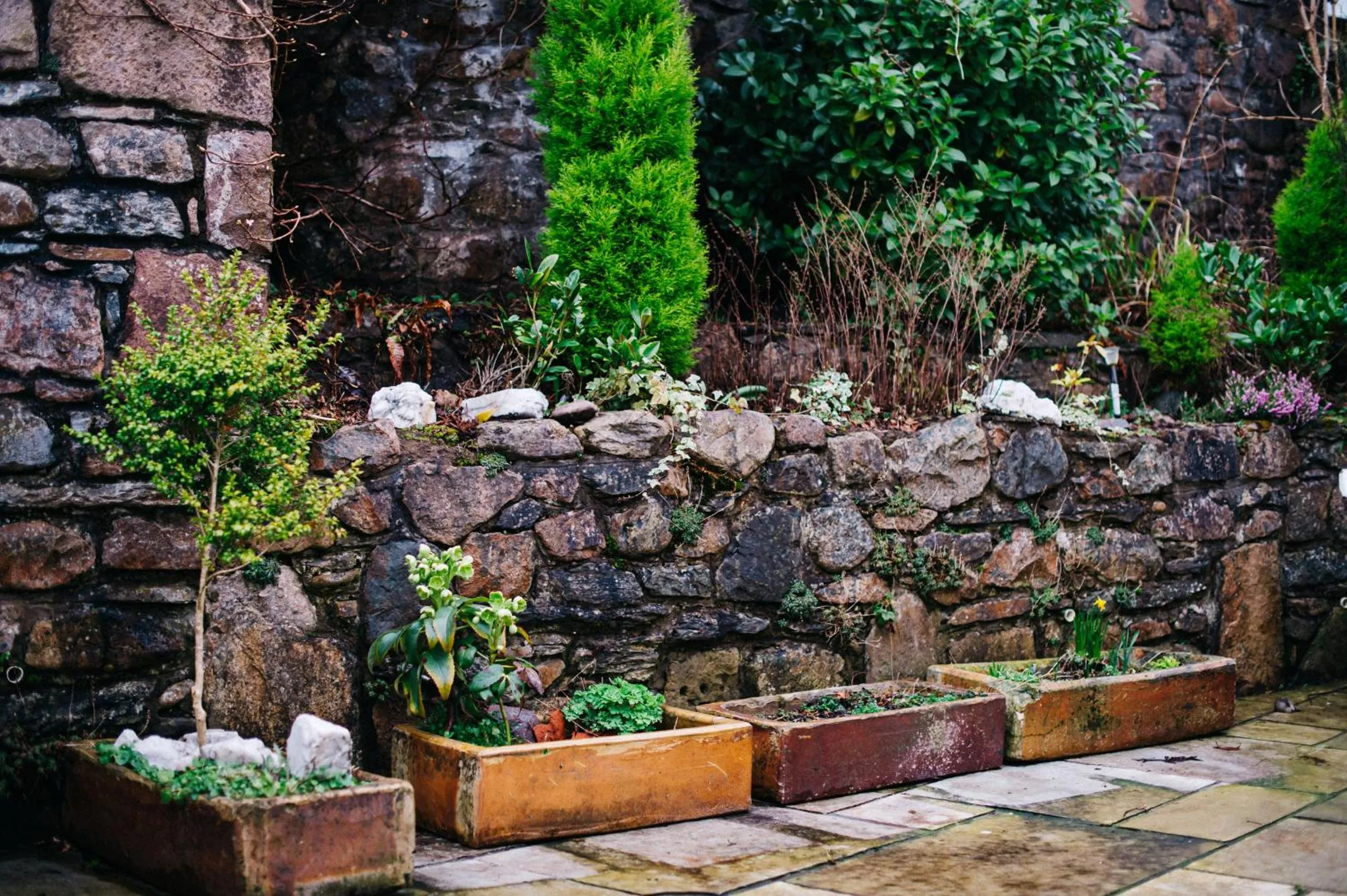 Garden in The George Hotel