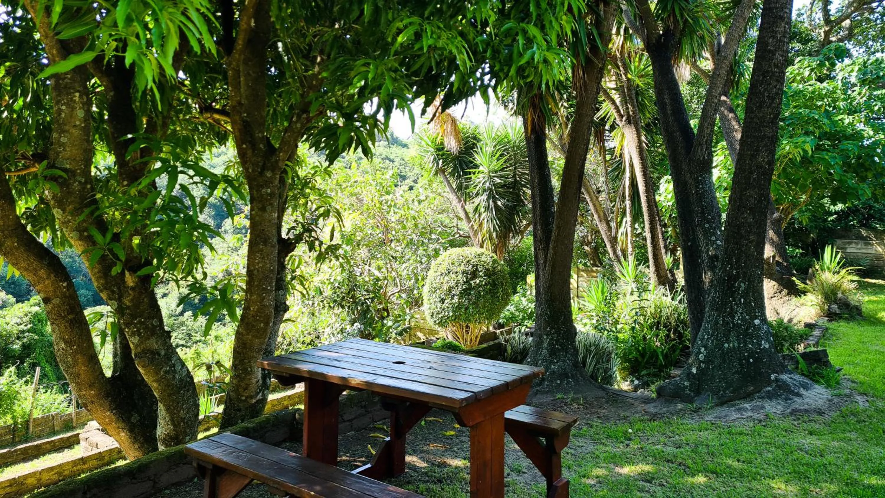 Garden in Vincent Valley Lodge