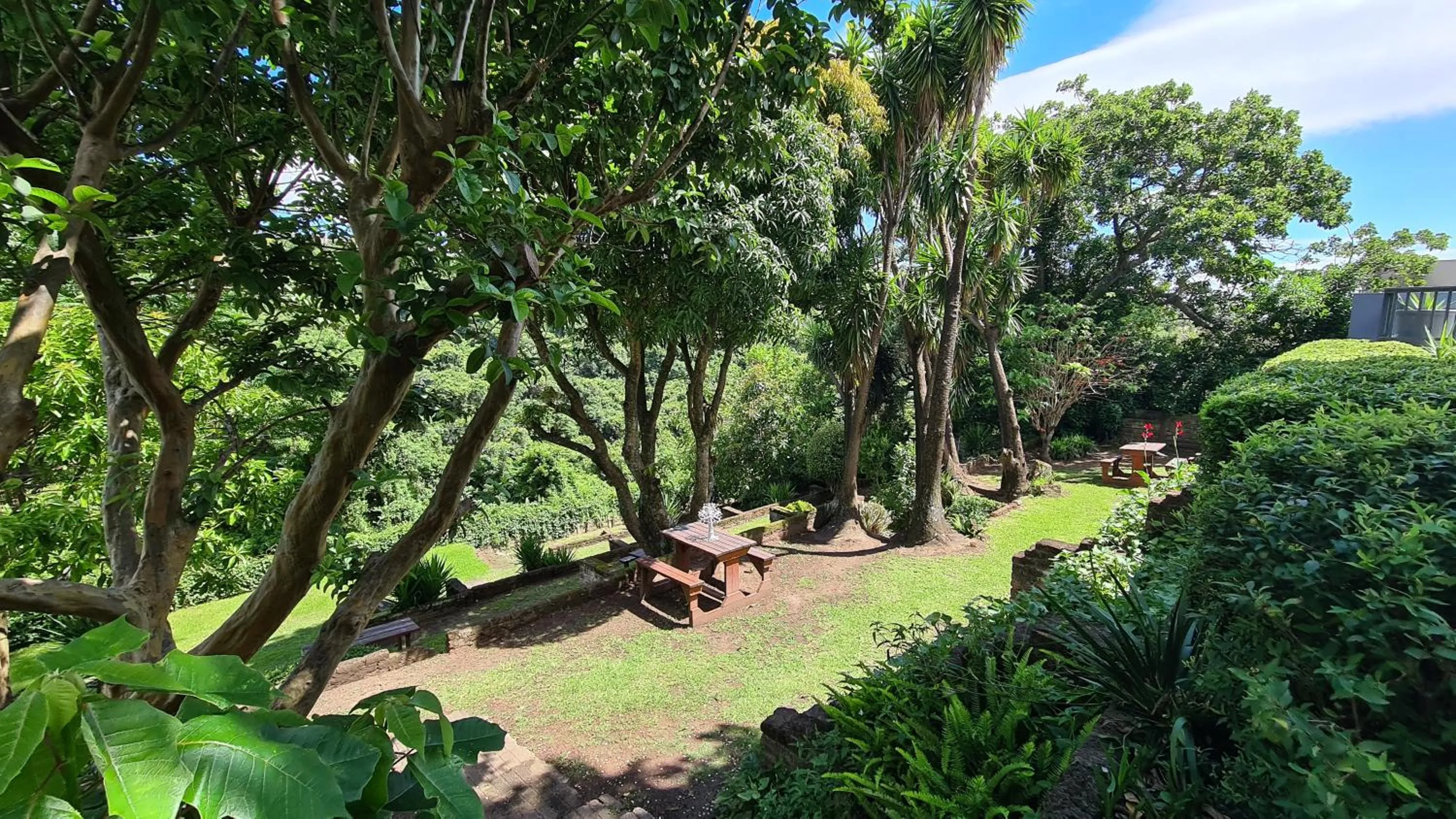 Garden in Vincent Valley Lodge