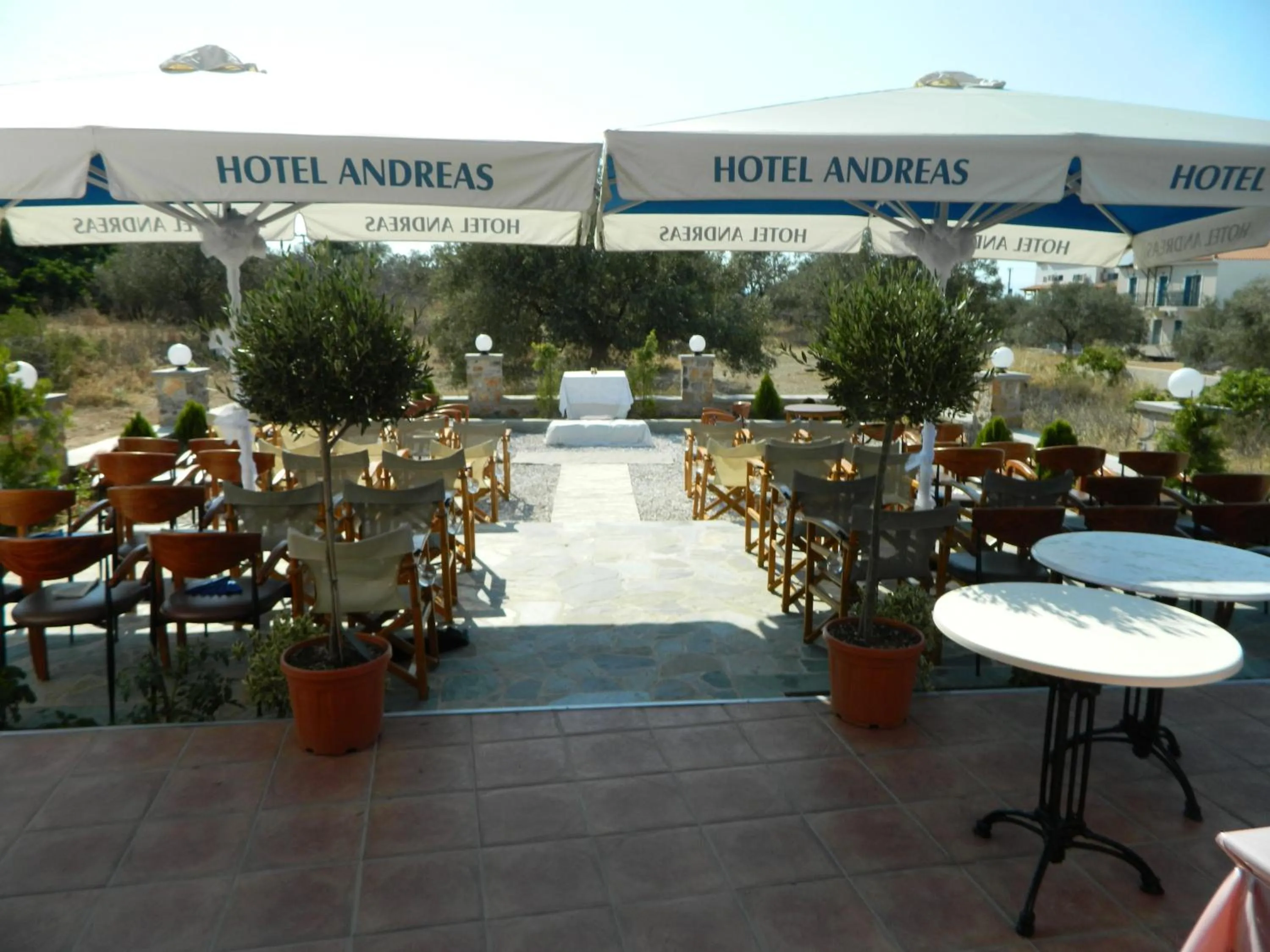 Lounge or bar in Hotel Andreas - Agistri (Skala)