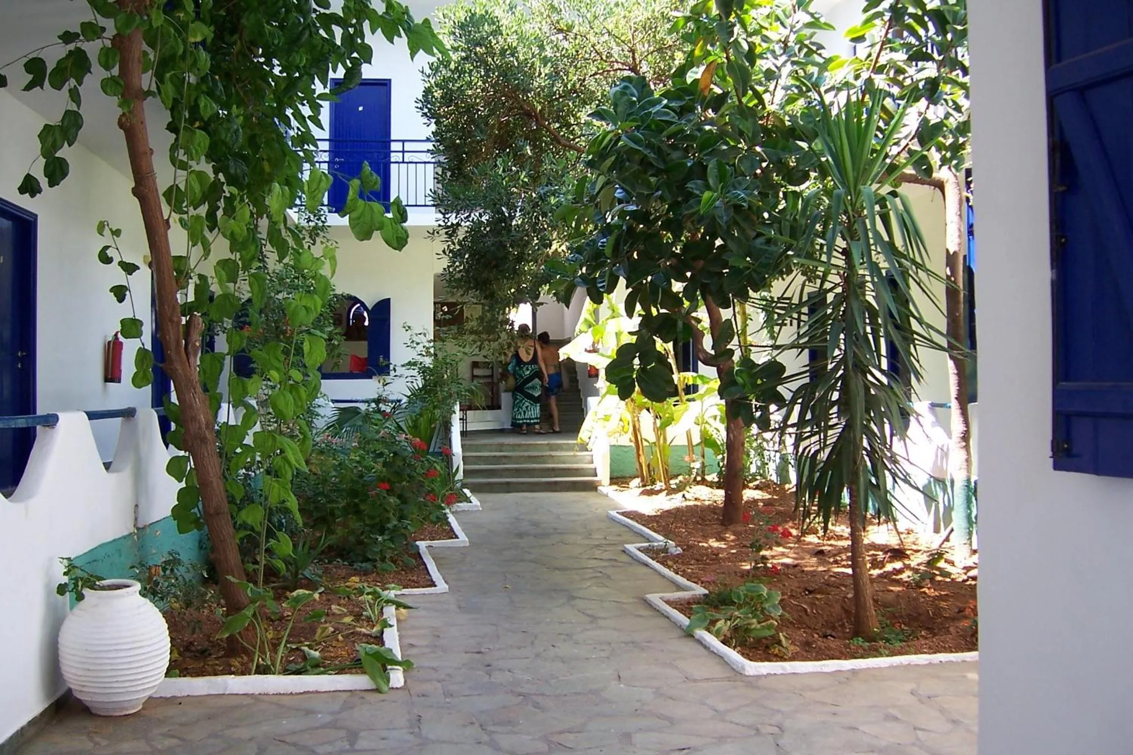 Balcony/Terrace in Hotel Andreas - Agistri (Skala)