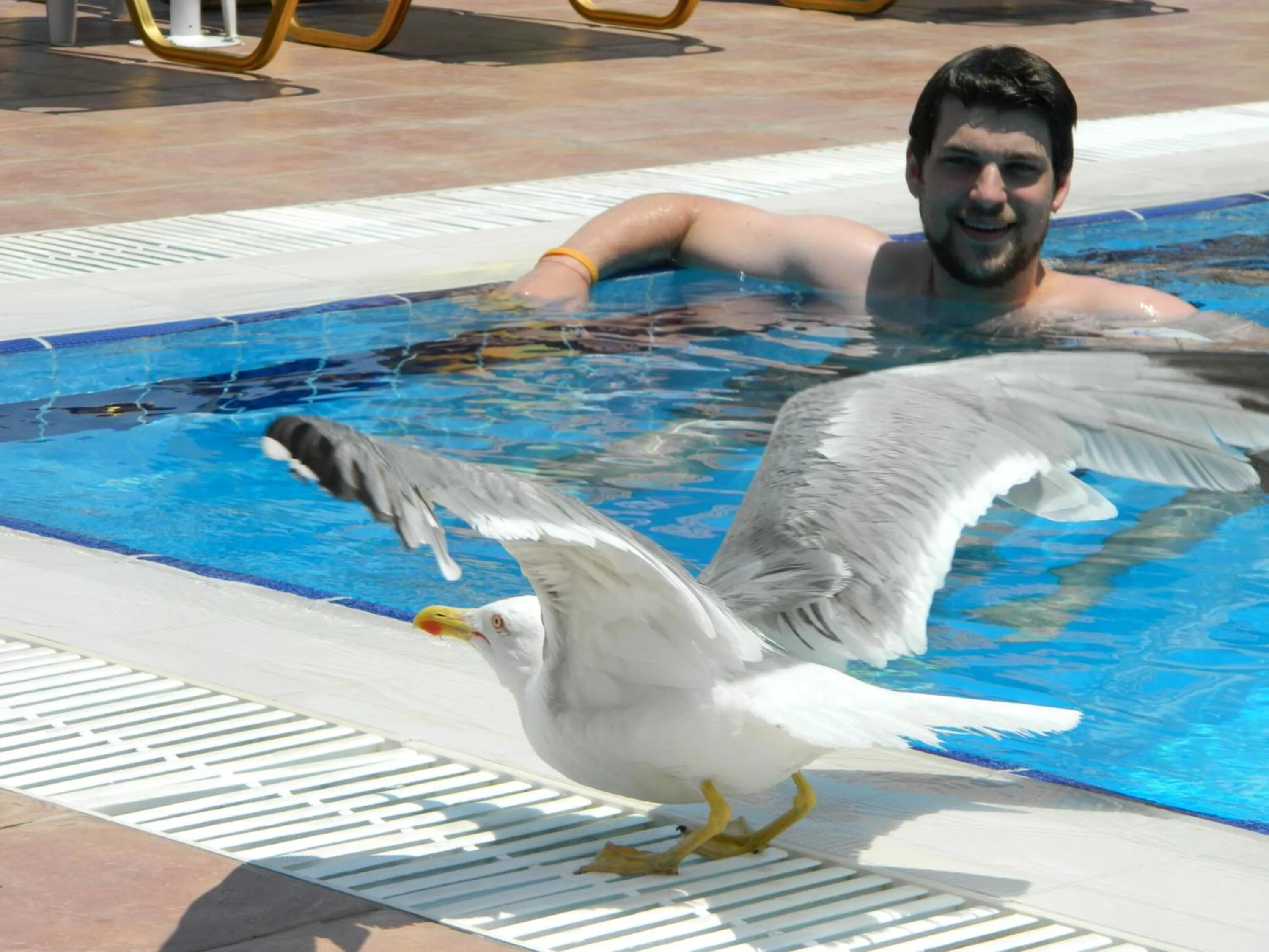 People in Hotel Andreas - Agistri (Skala)