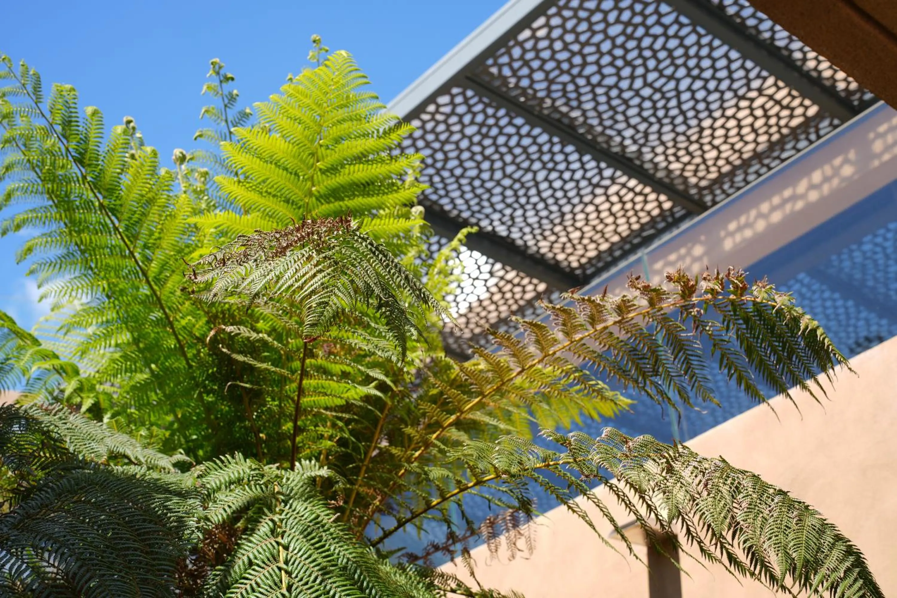 Facade/entrance in Les Regalia Hôtel & Spa