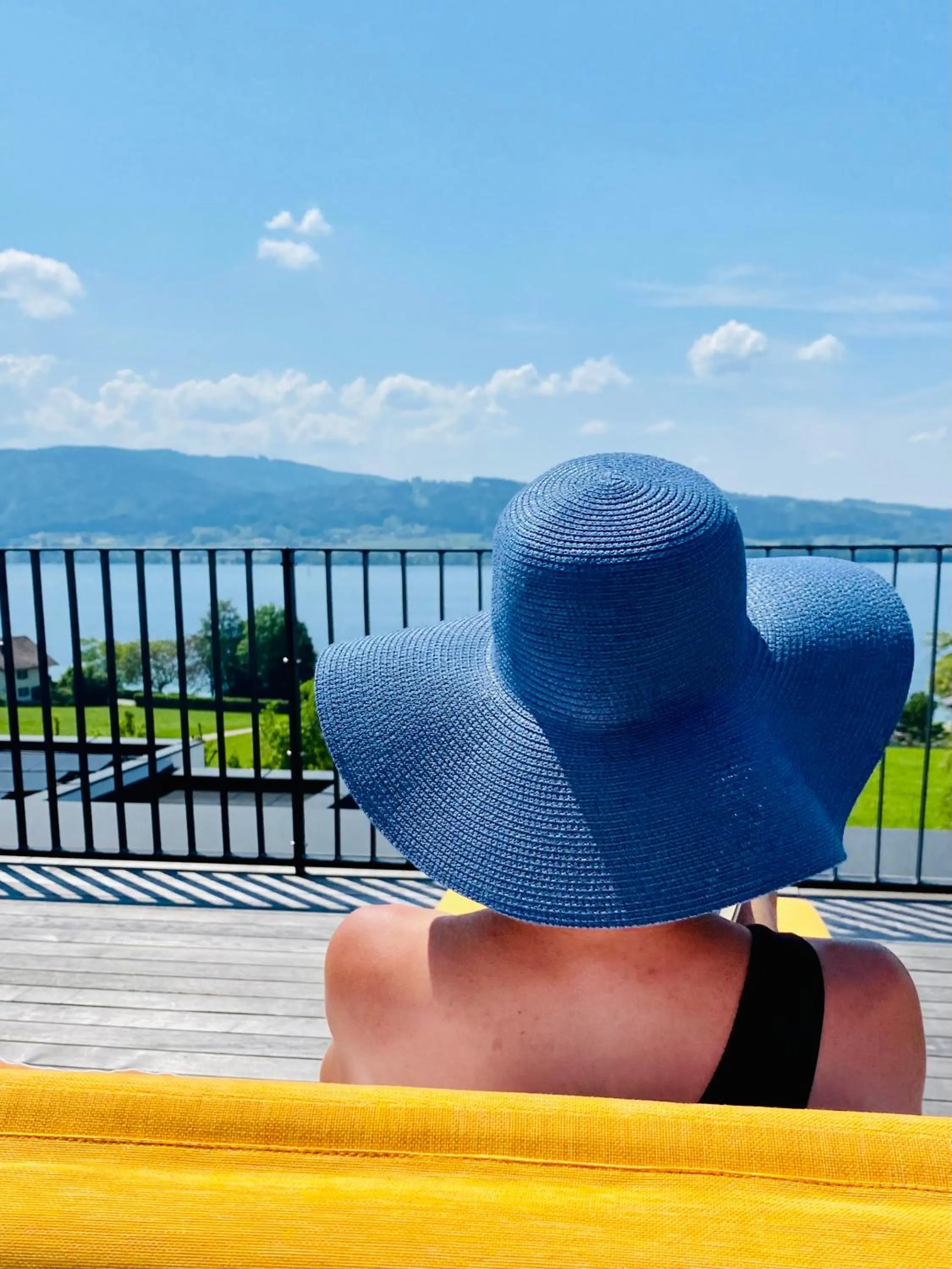 View (from property/room) in ORANGE LOUNGE Attersee