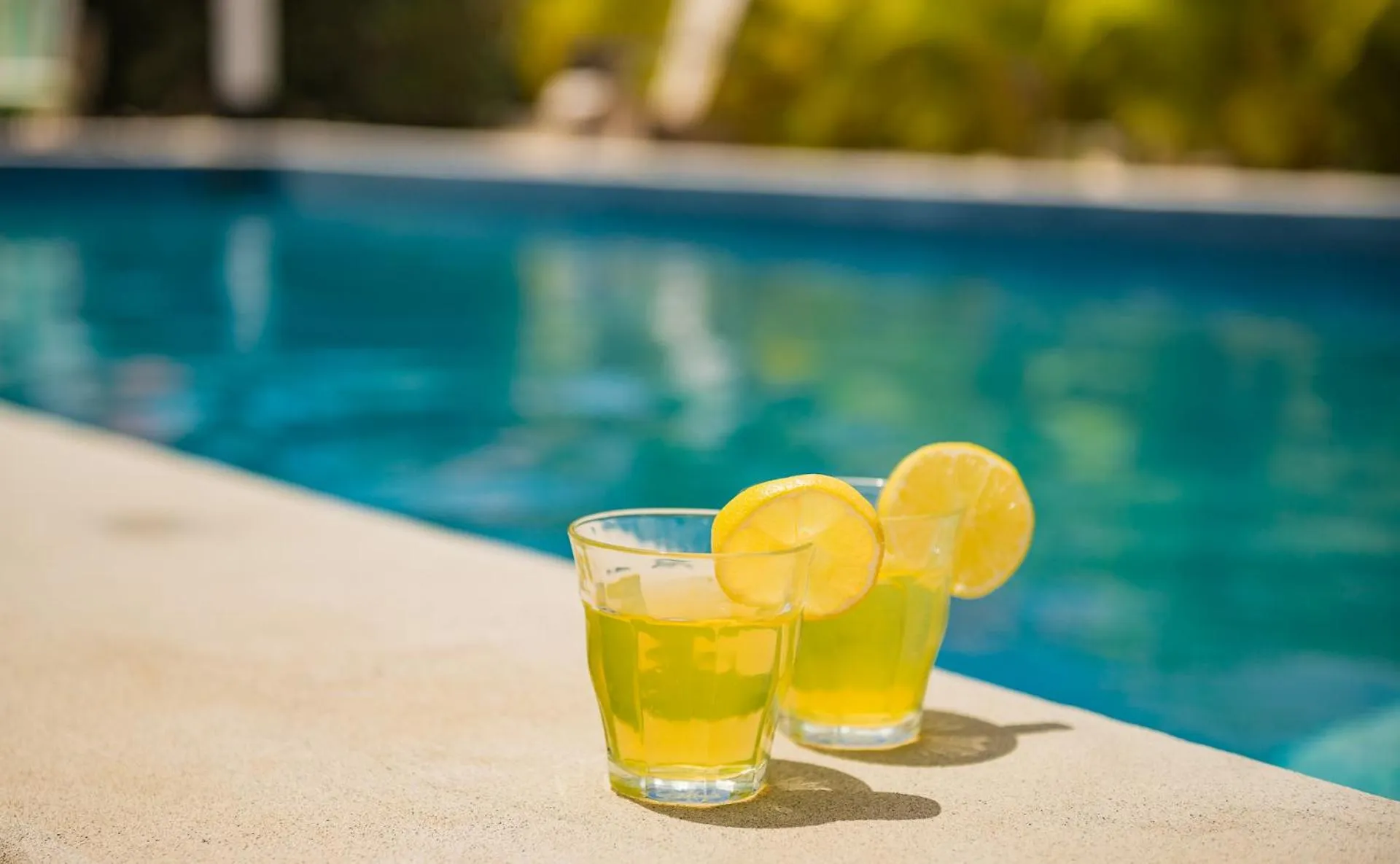 Swimming pool in Kura Kabana by Boutique Bonaire Unique Resorts