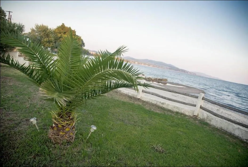 On the wave studios Spitakia sto kyma