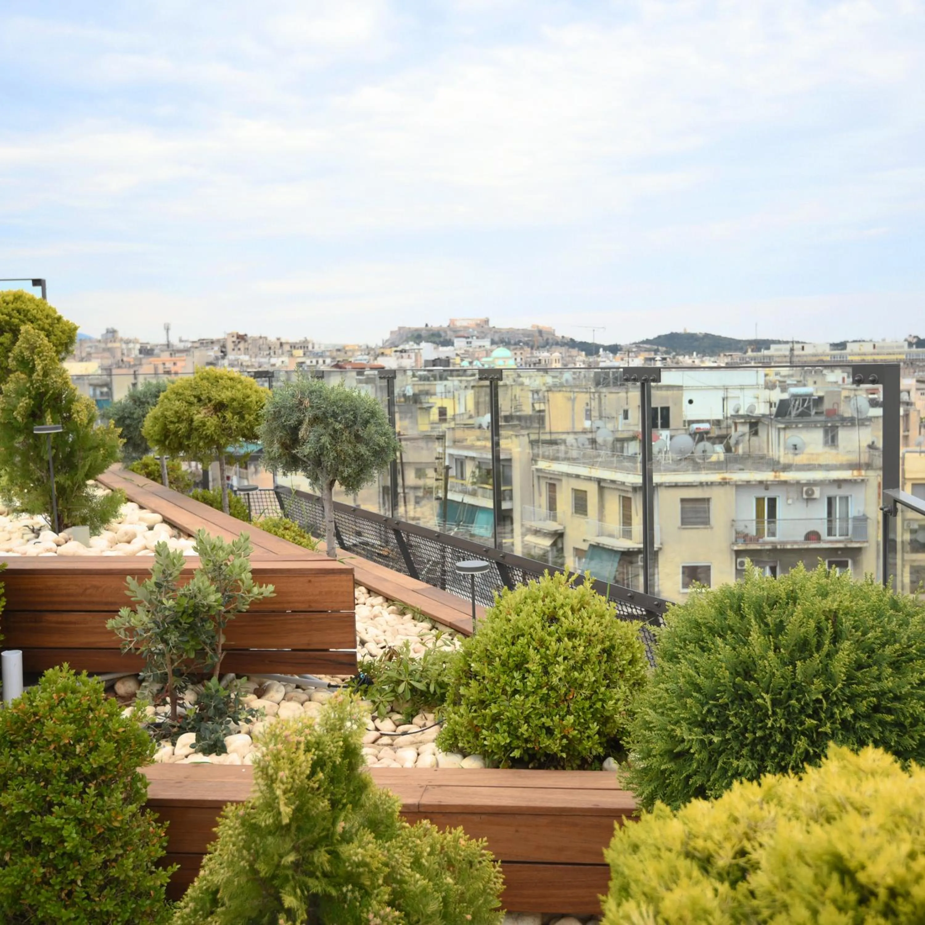 Garden in Novotel Athens