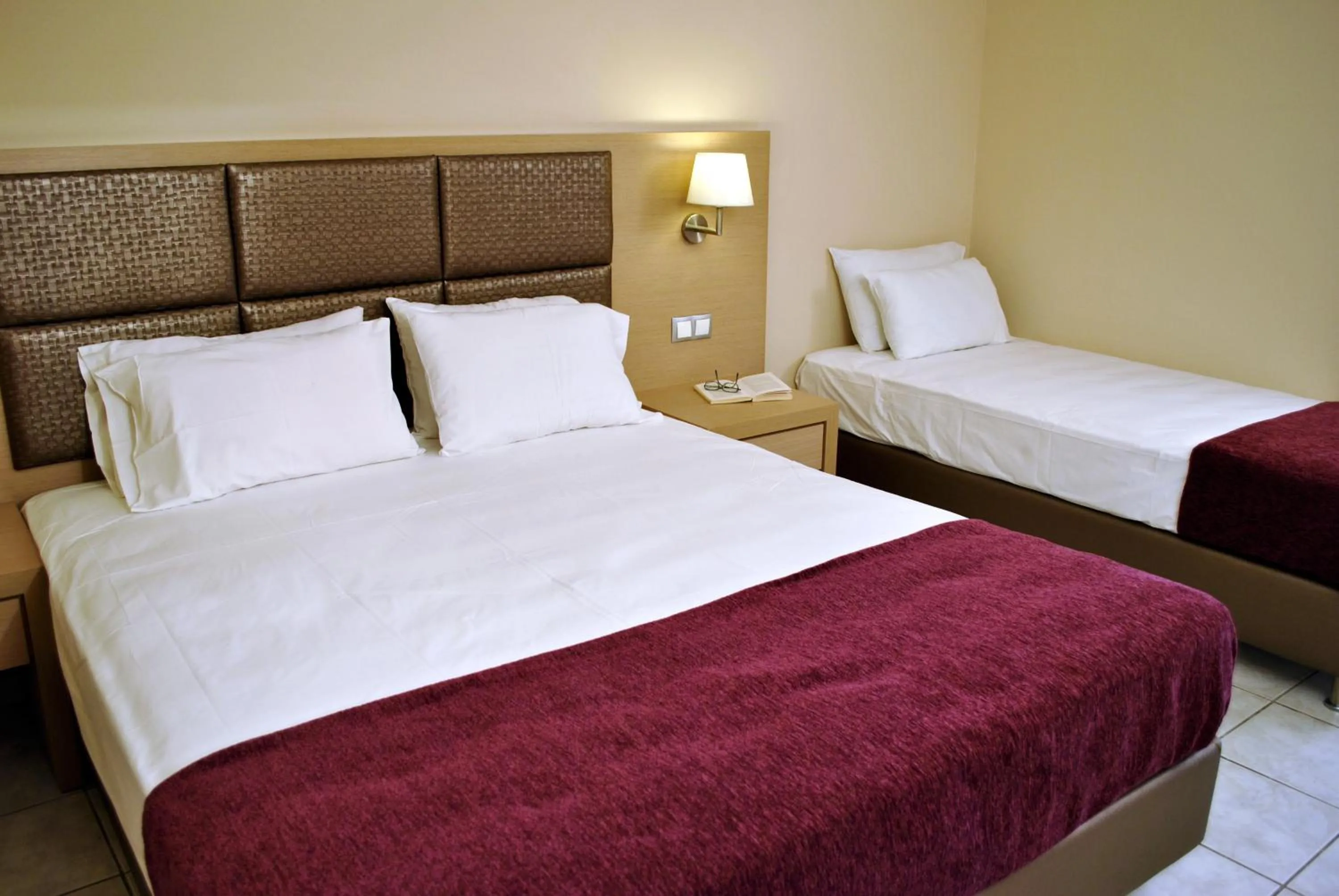 Hotel Plessas Palace