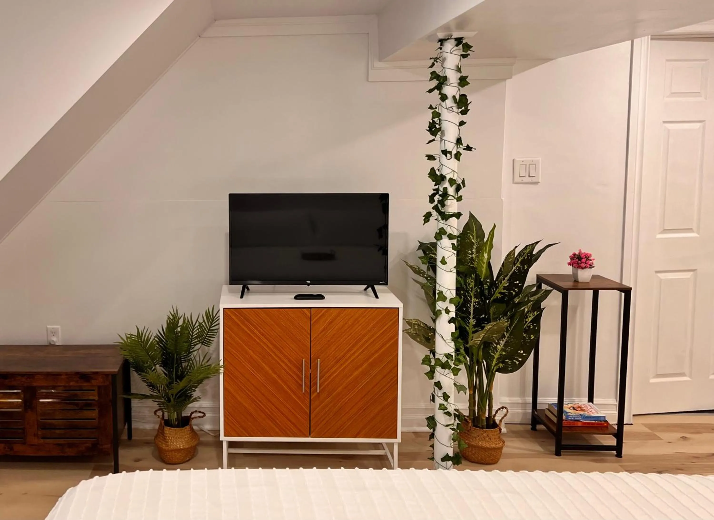 TV and multimedia in The Boho Oasis