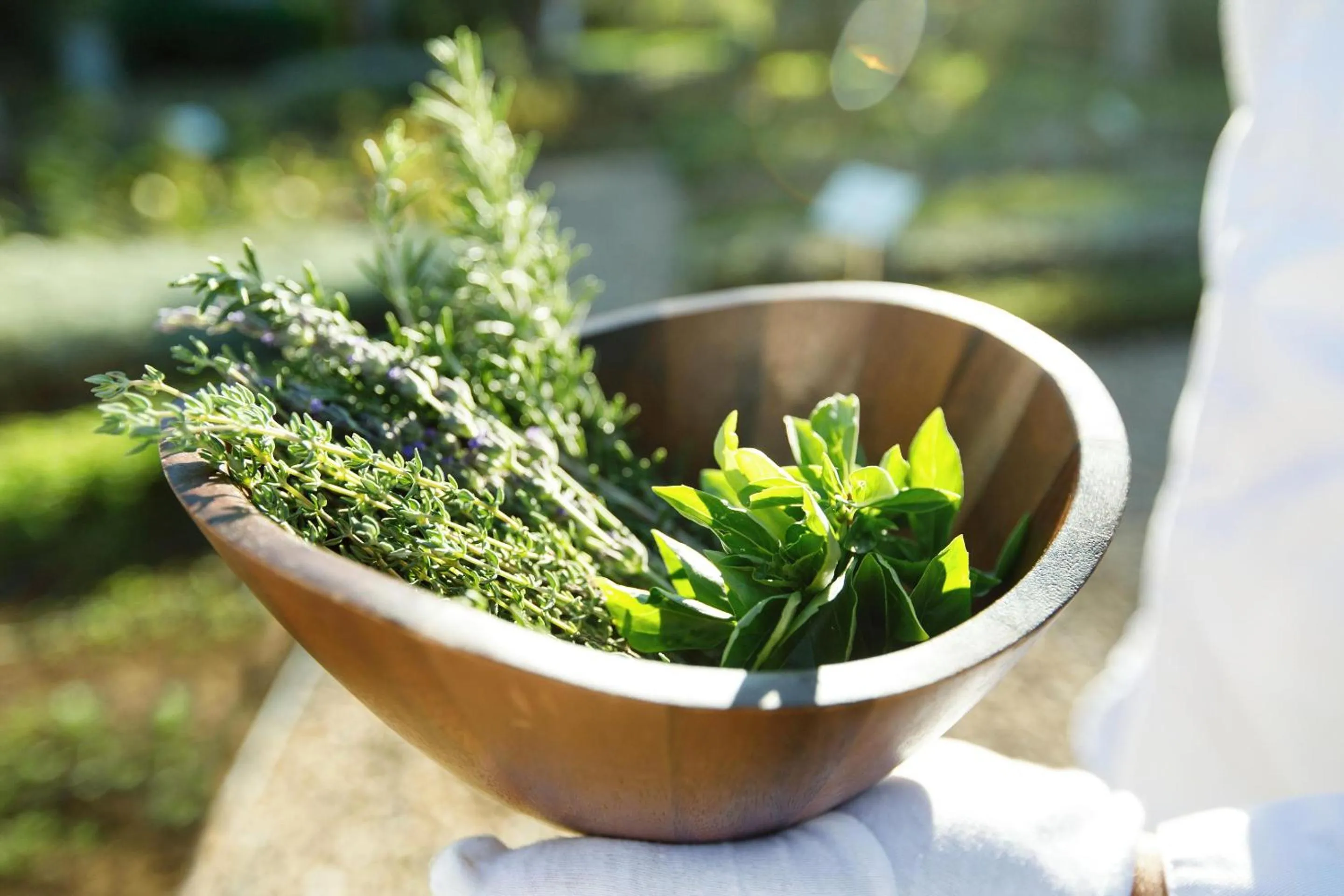 Garden in Ikos Dassia