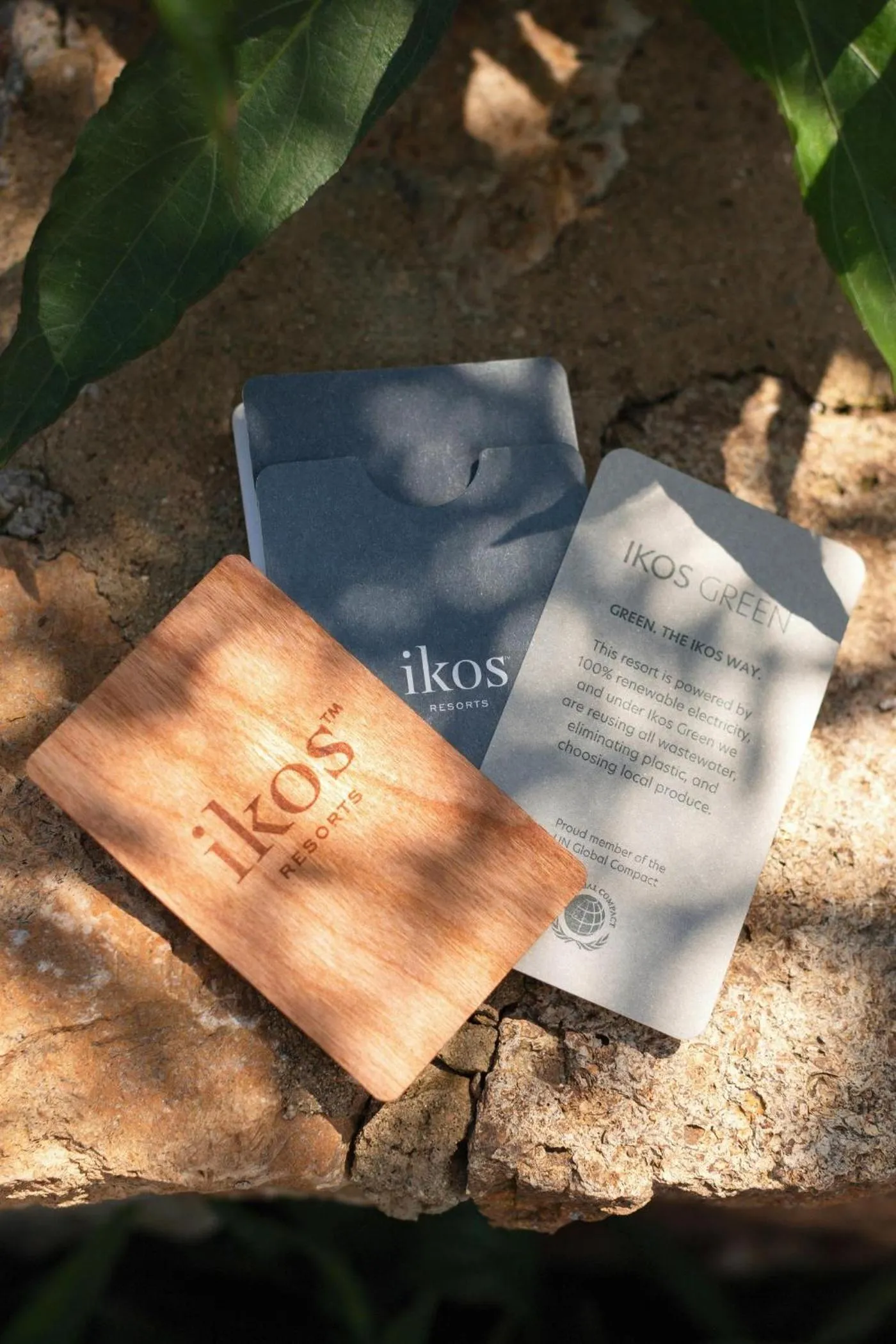 Other in Ikos Dassia