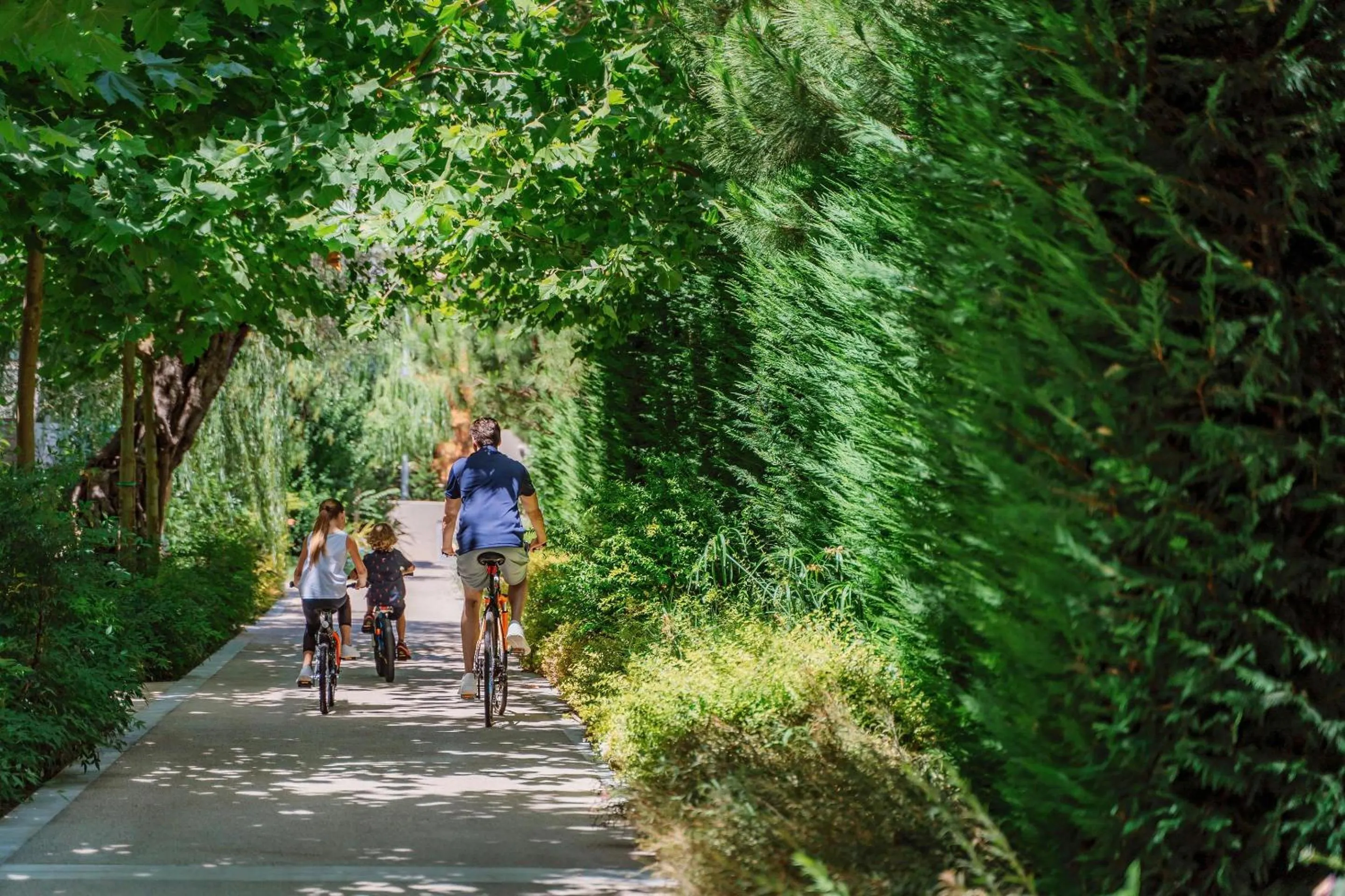 Natural landscape in Ikos Dassia