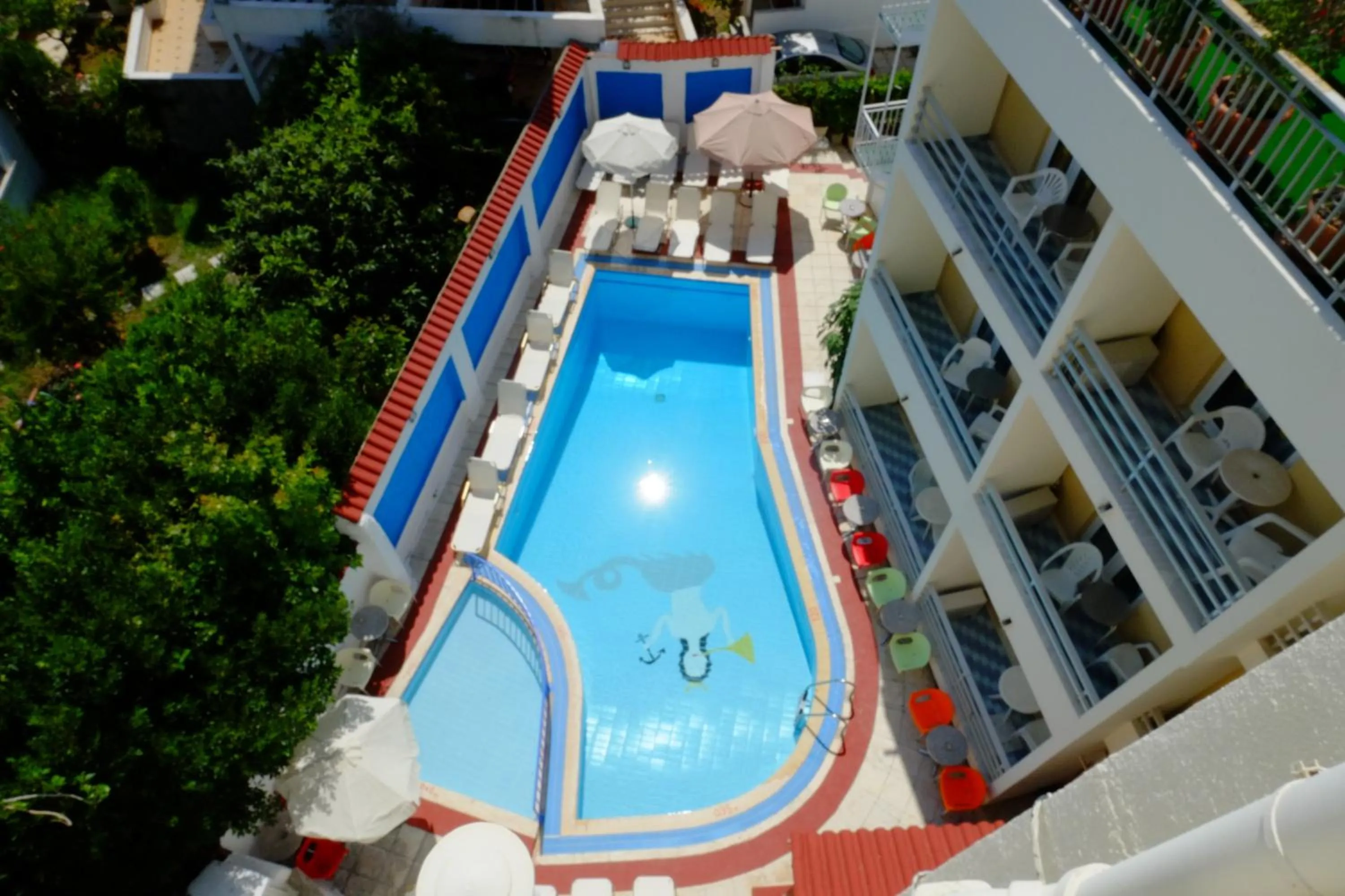 Swimming pool in Hotel Koala